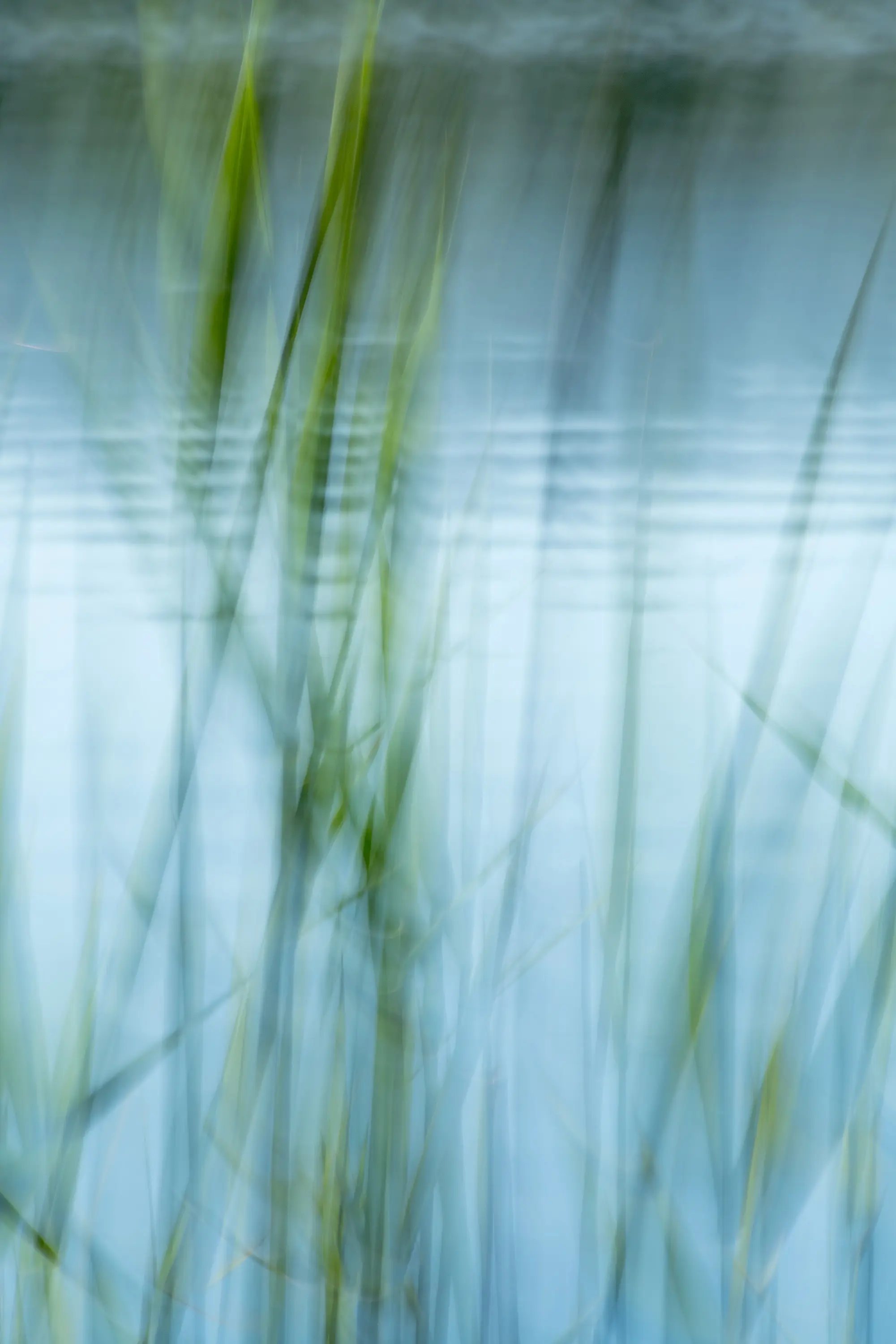 ornament.control - The Element Water | 31.139.1 | Photo