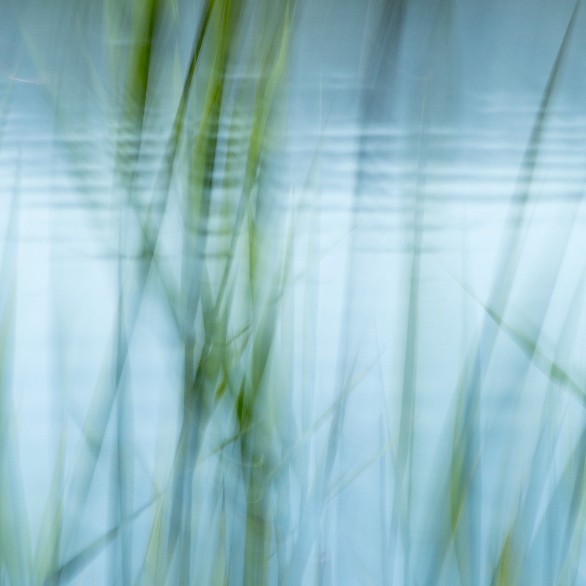 Mostra il prodotto The Element Water | 31.139.1 | Photo del produttore ornament.control