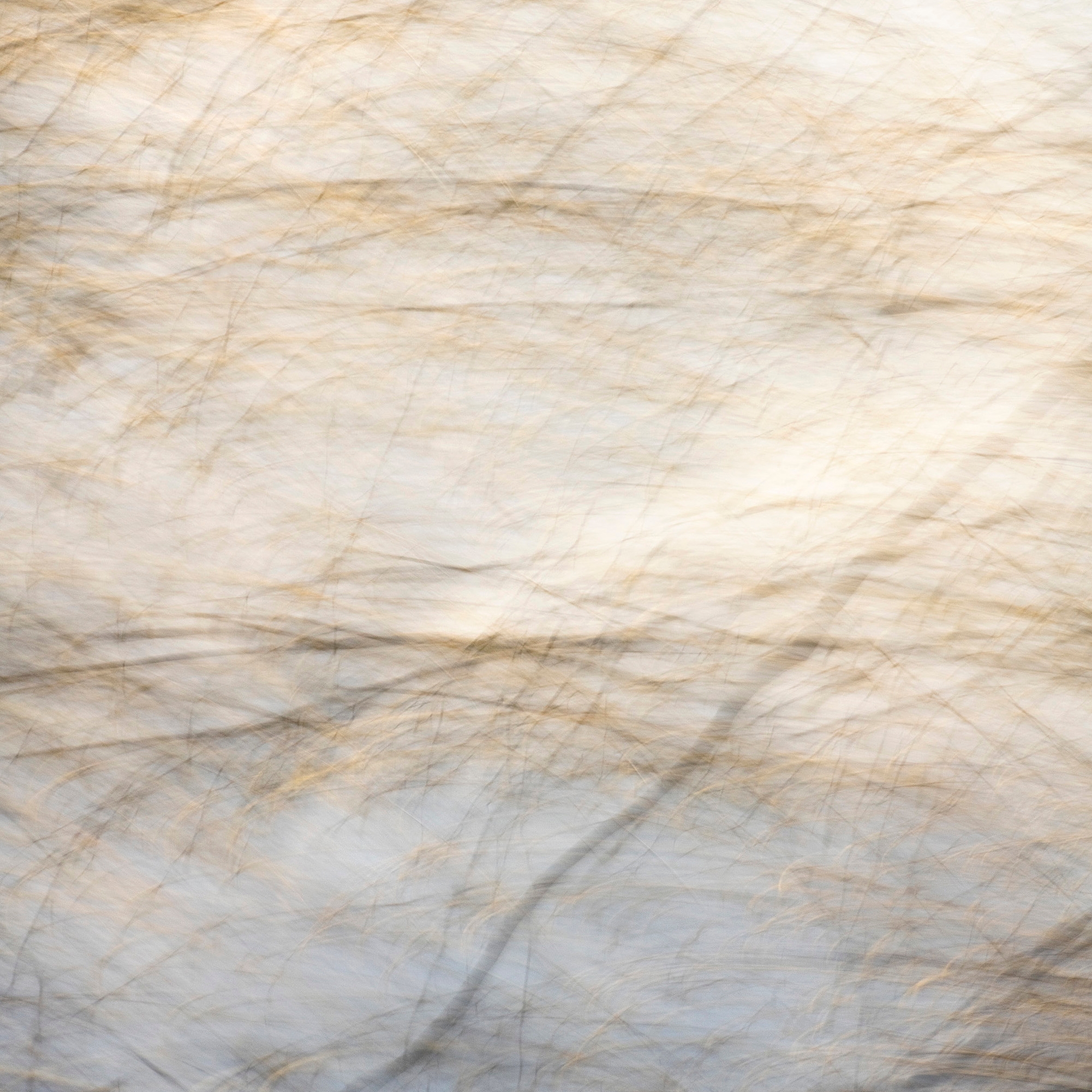 Mostra il prodotto Flora Plus | 31.154.1 | Photo del produttore ornament.control