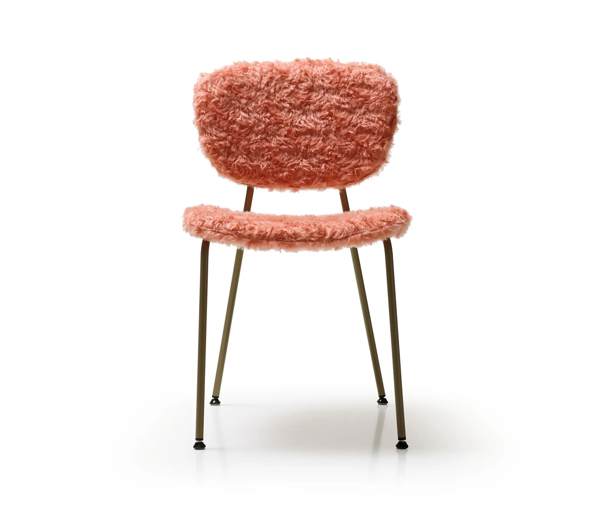 Quinti Sedute - Olga