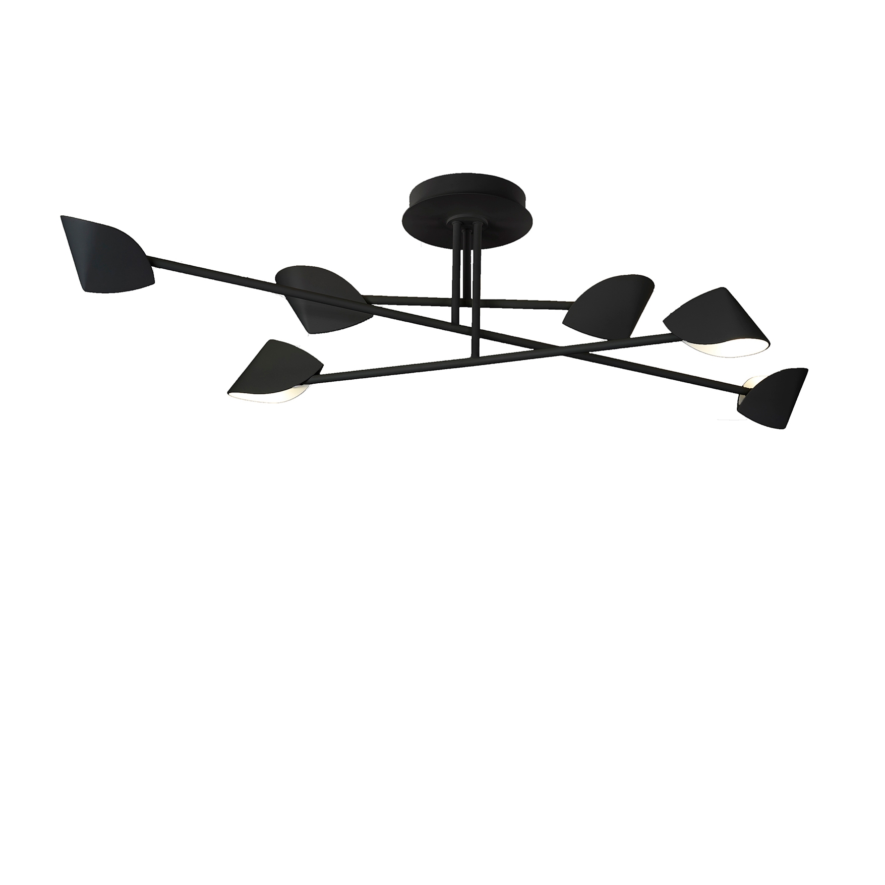 Capuccina 7580