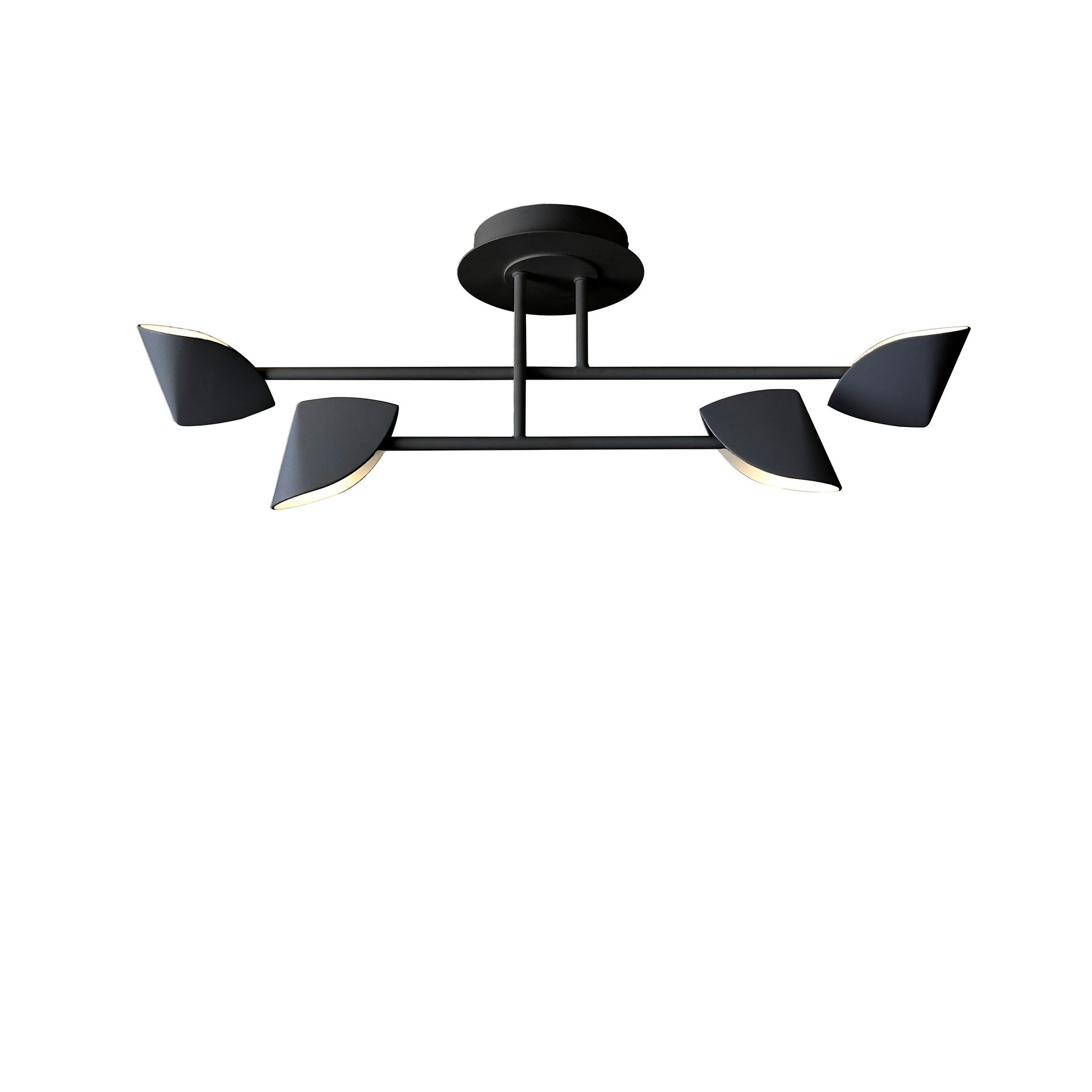 Capuccina 7582