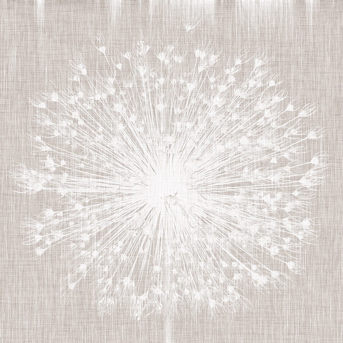 Breath