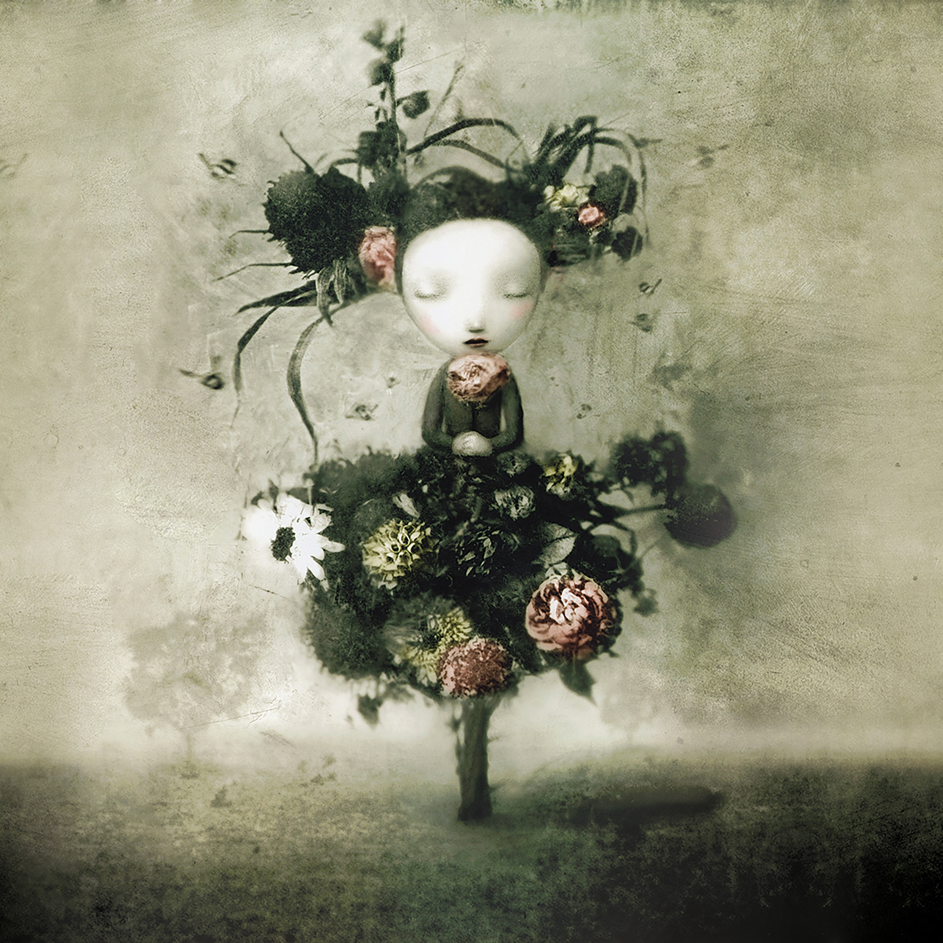 Flora