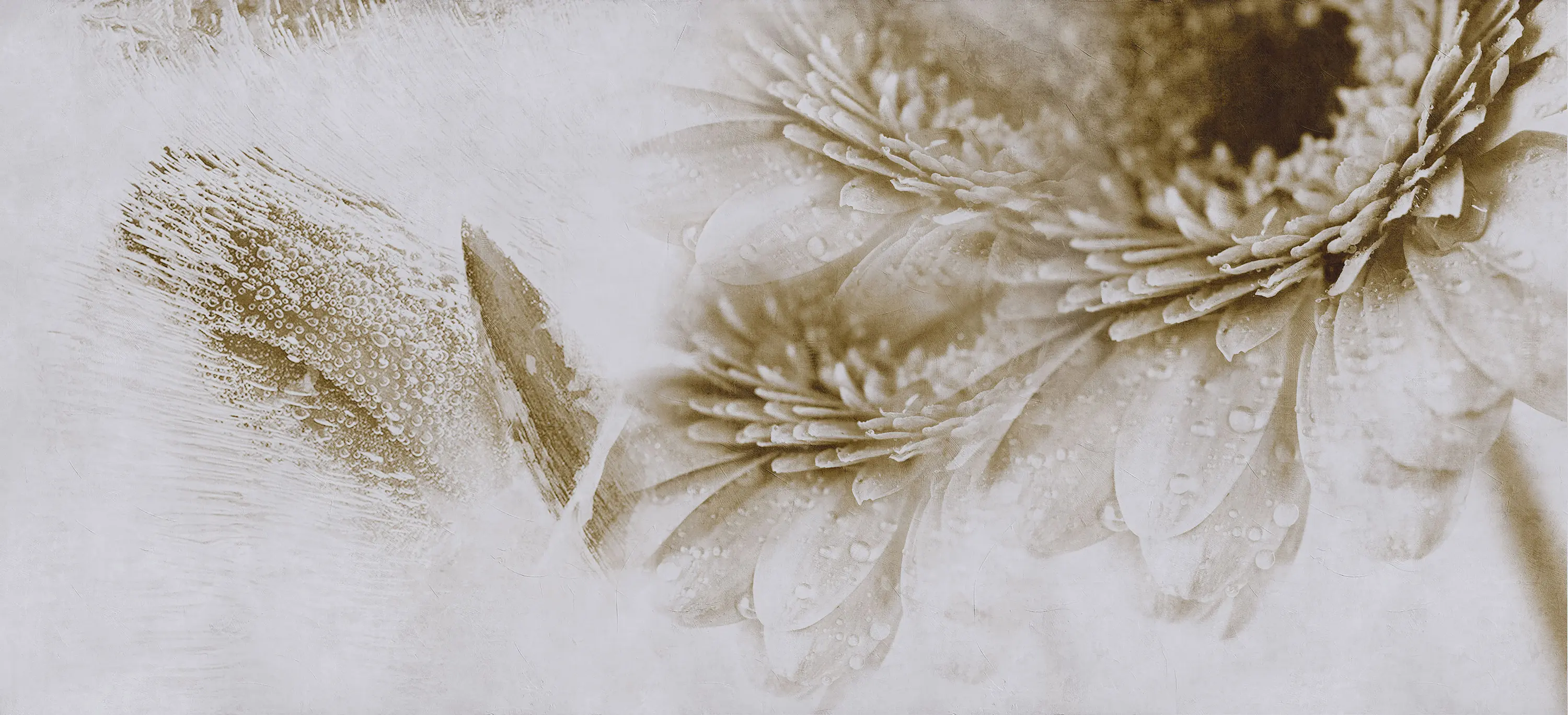 Inkiostro Bianco - Crazy Flowers