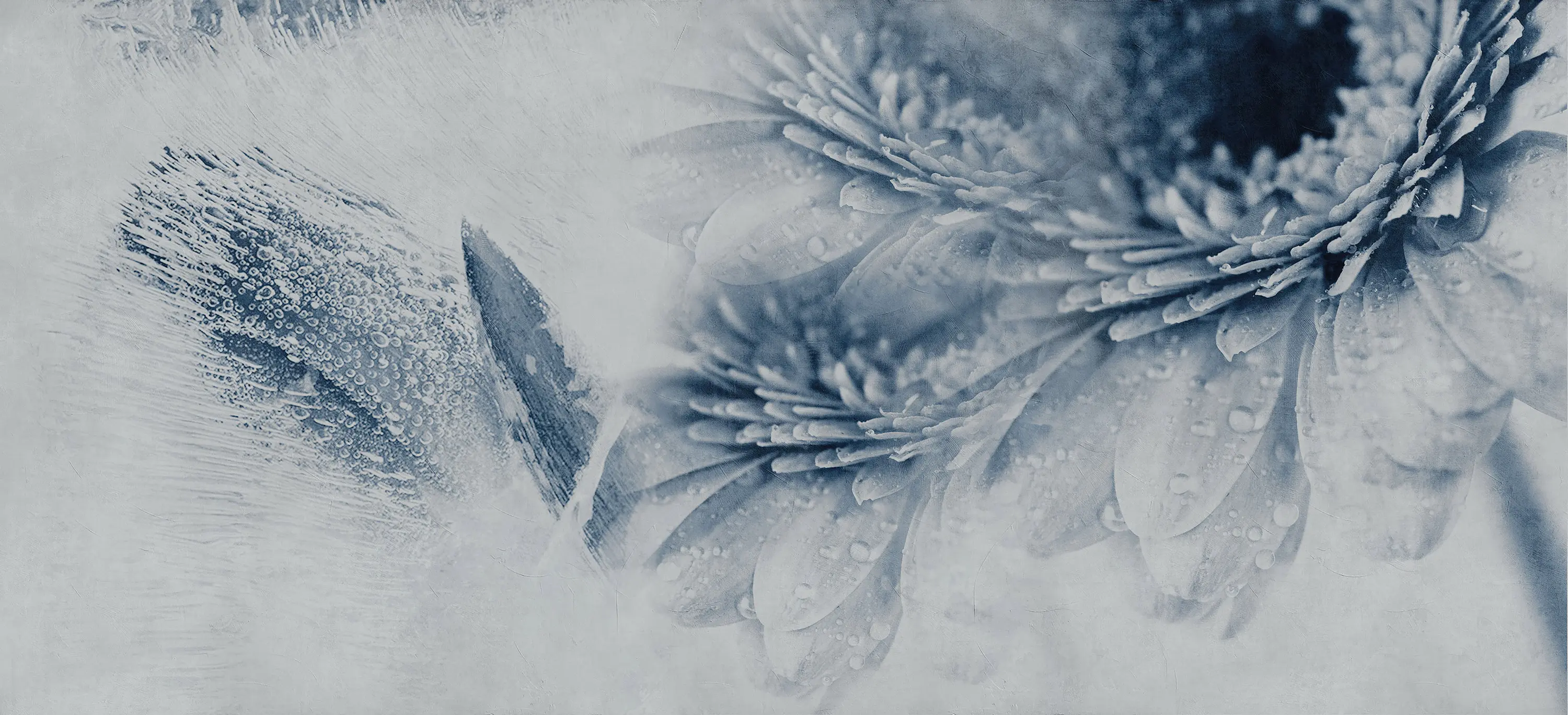 Inkiostro Bianco - Crazy Flowers
