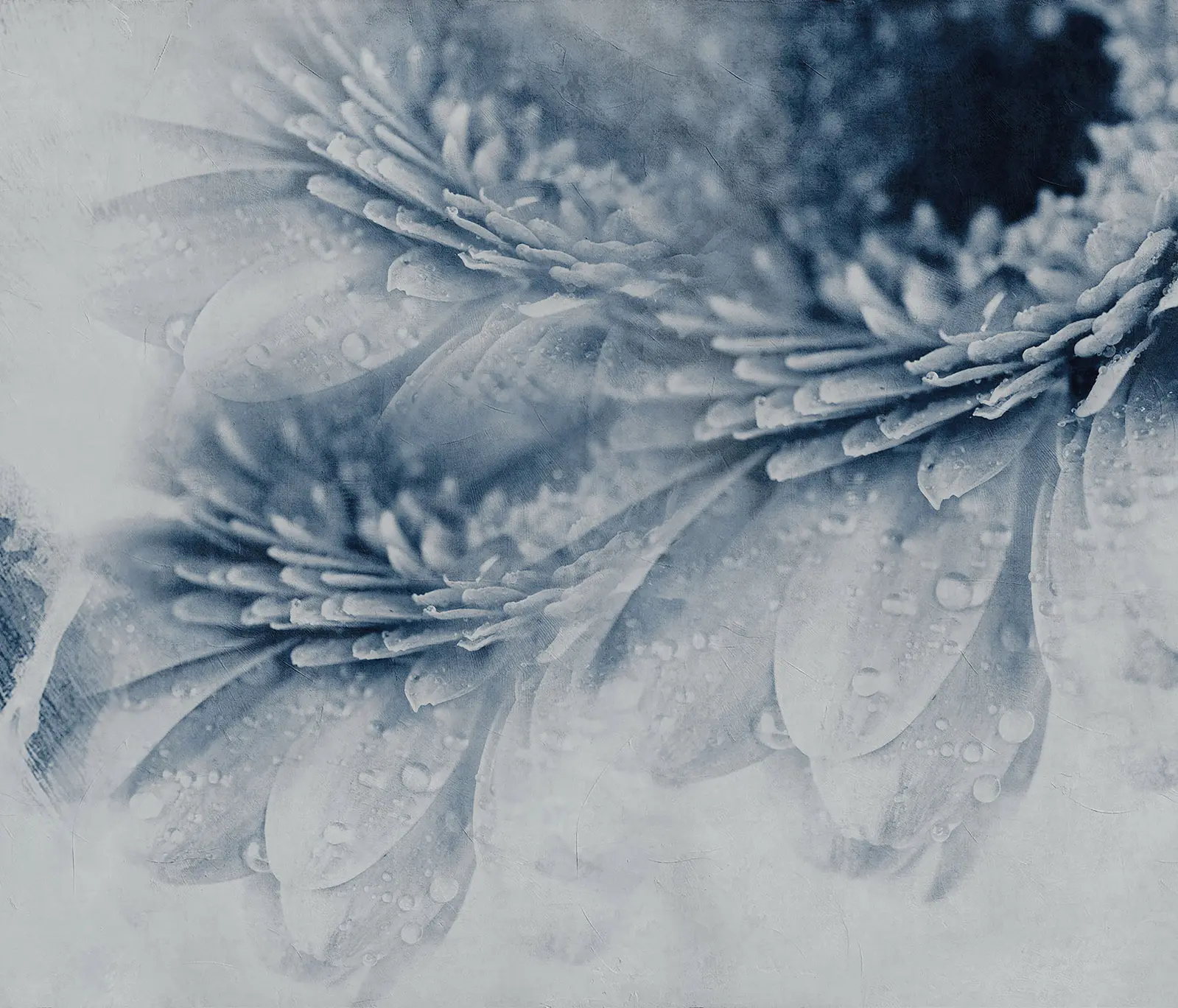 Inkiostro Bianco - Crazy Flowers