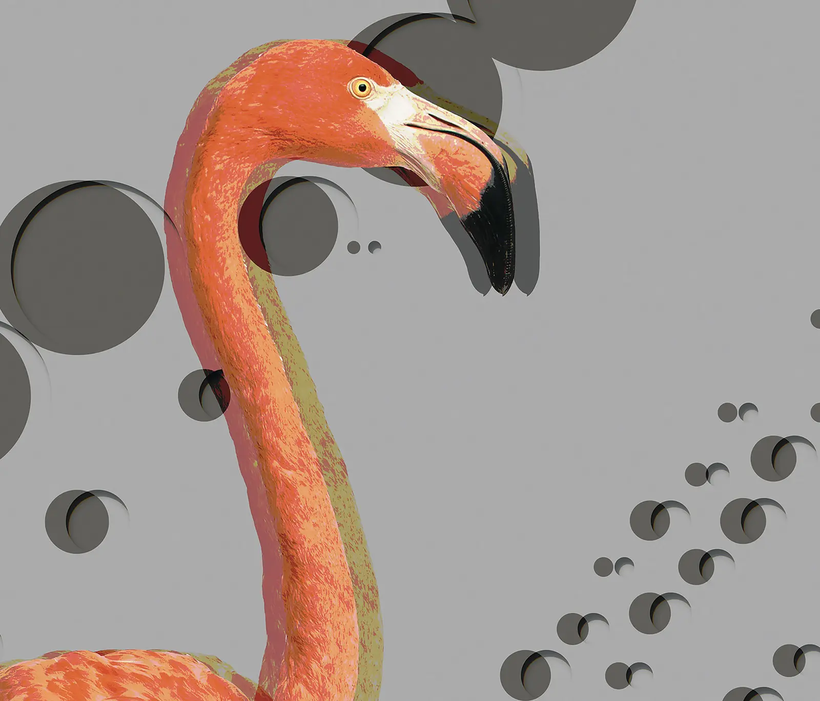 Inkiostro Bianco - Flamingos