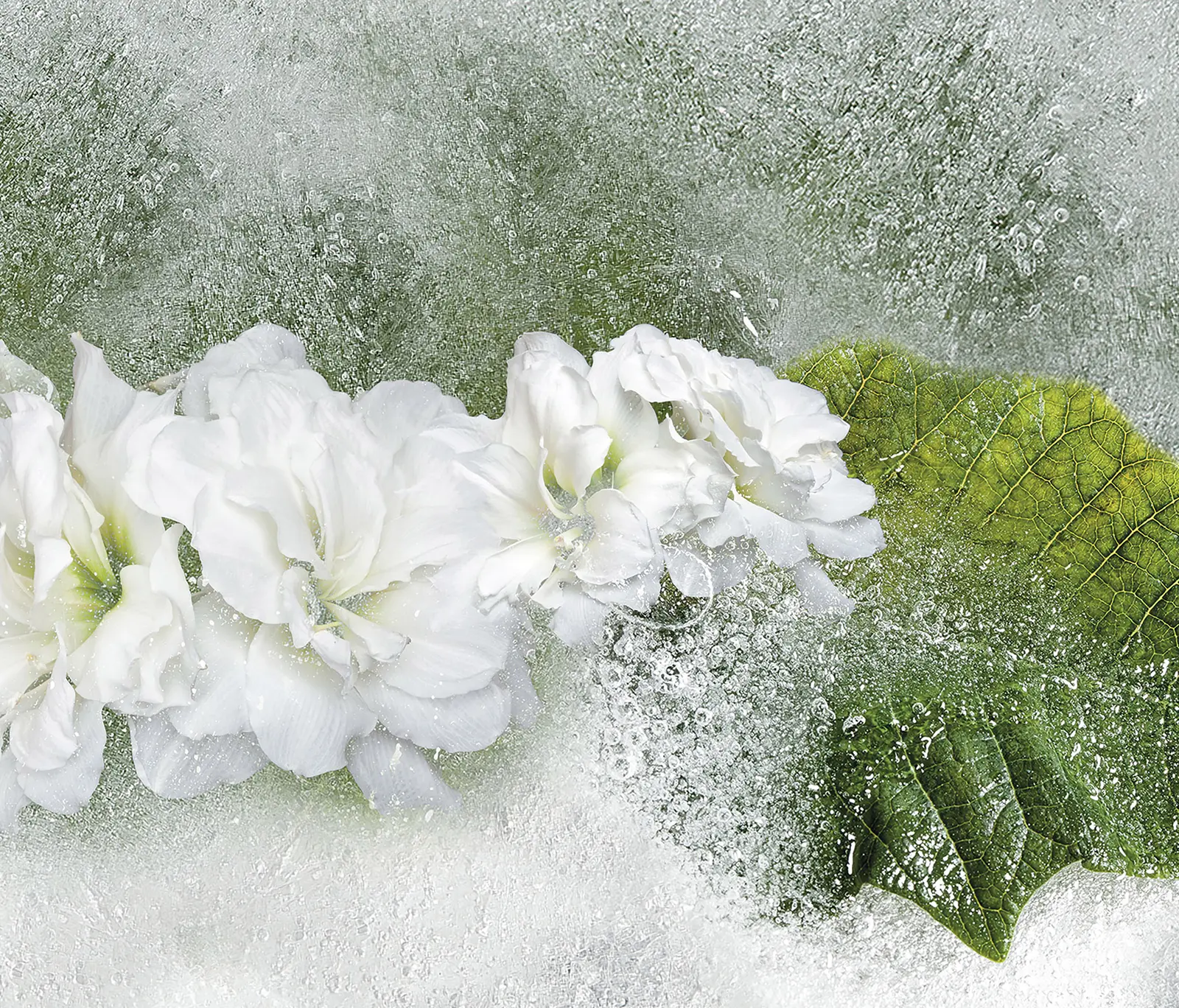 Inkiostro Bianco - Iceflor