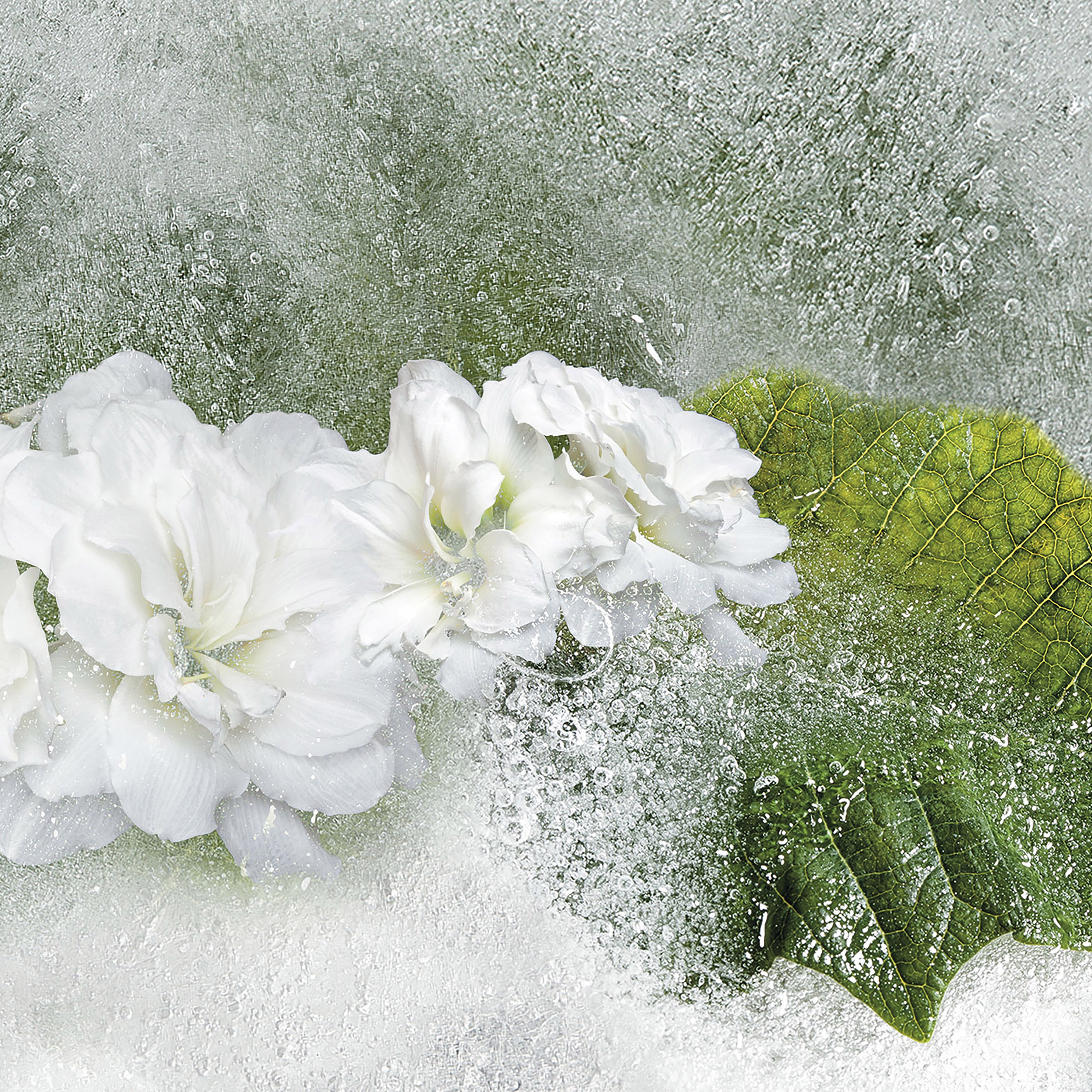 Display product Iceflor from manufacturer Inkiostro Bianco