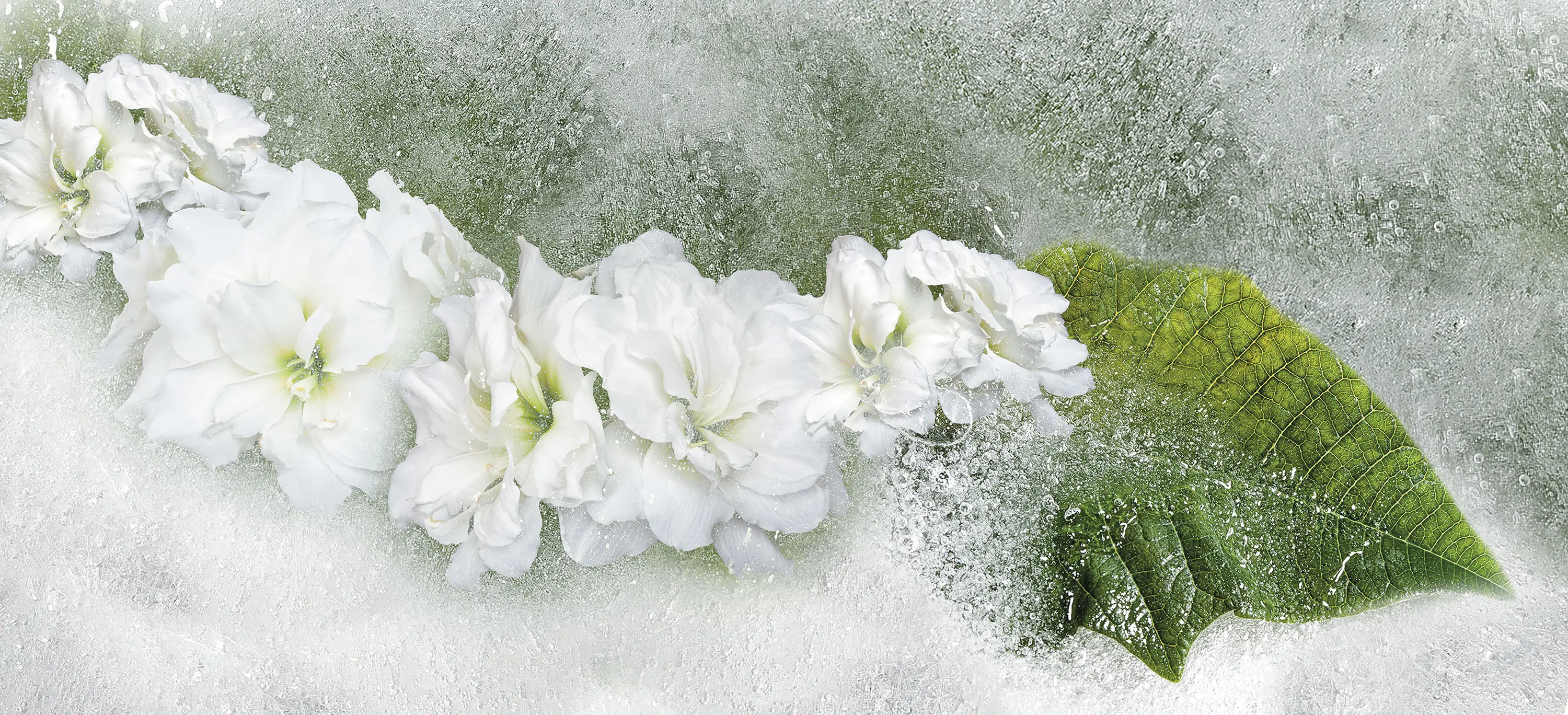 Inkiostro Bianco - Iceflor