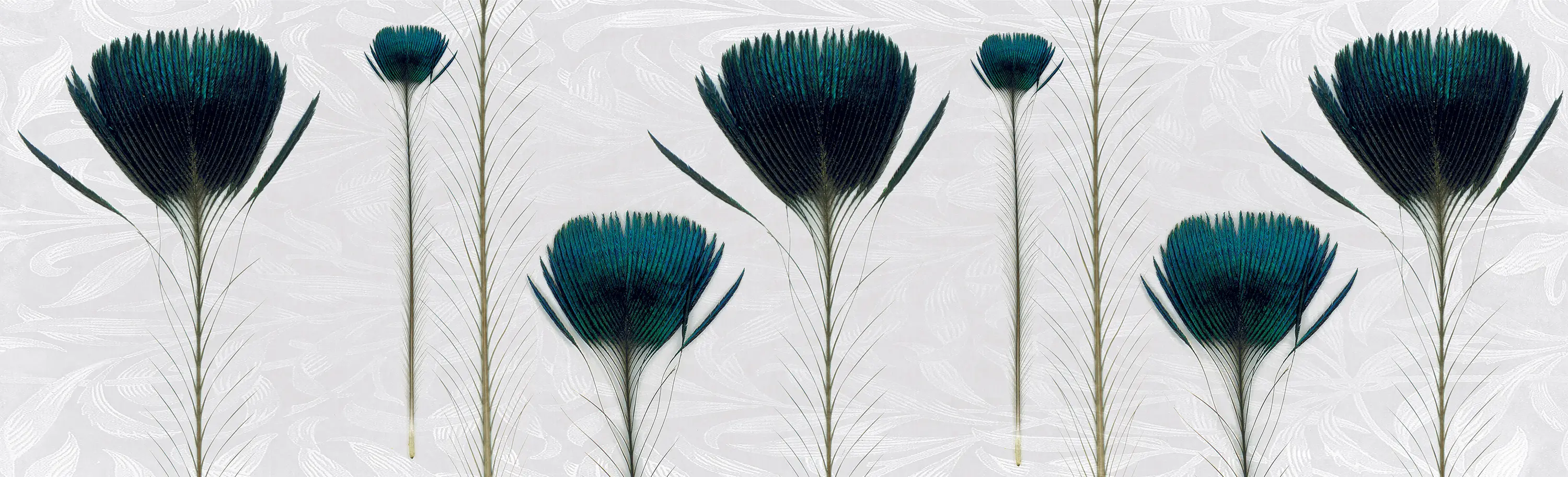 Inkiostro Bianco - Pluma De Pavo