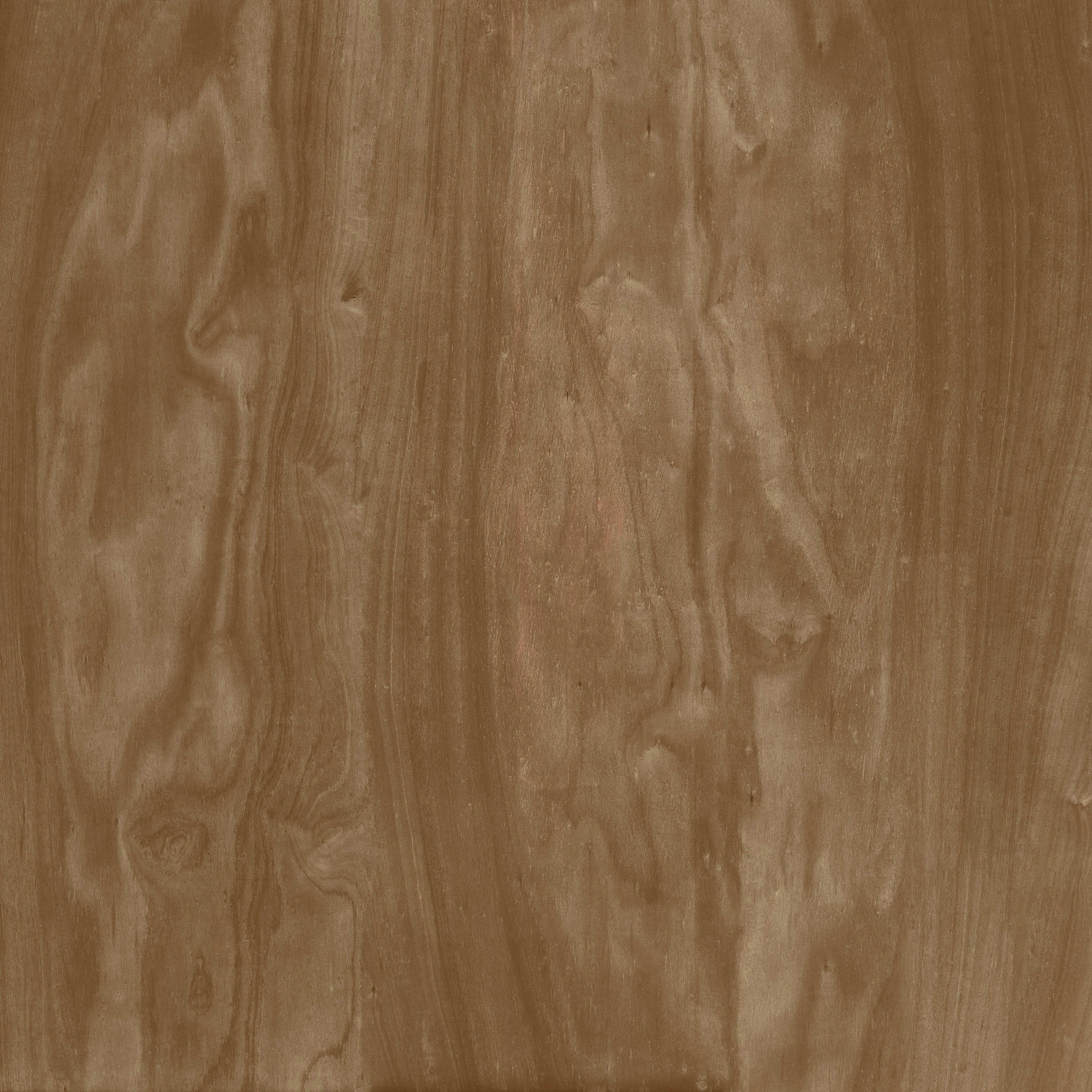 Display product Okumè from manufacturer Inkiostro Bianco
