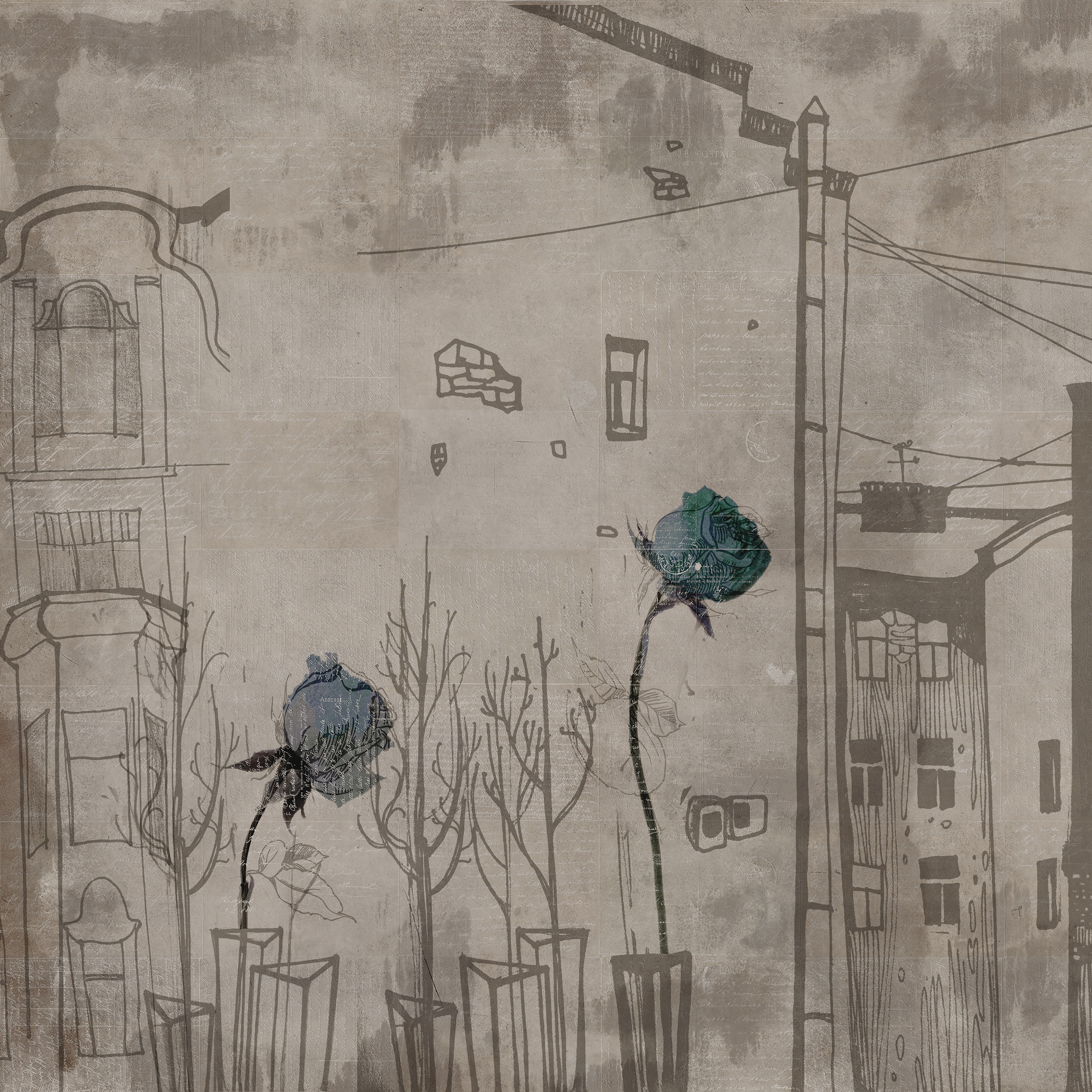 Urban Rose