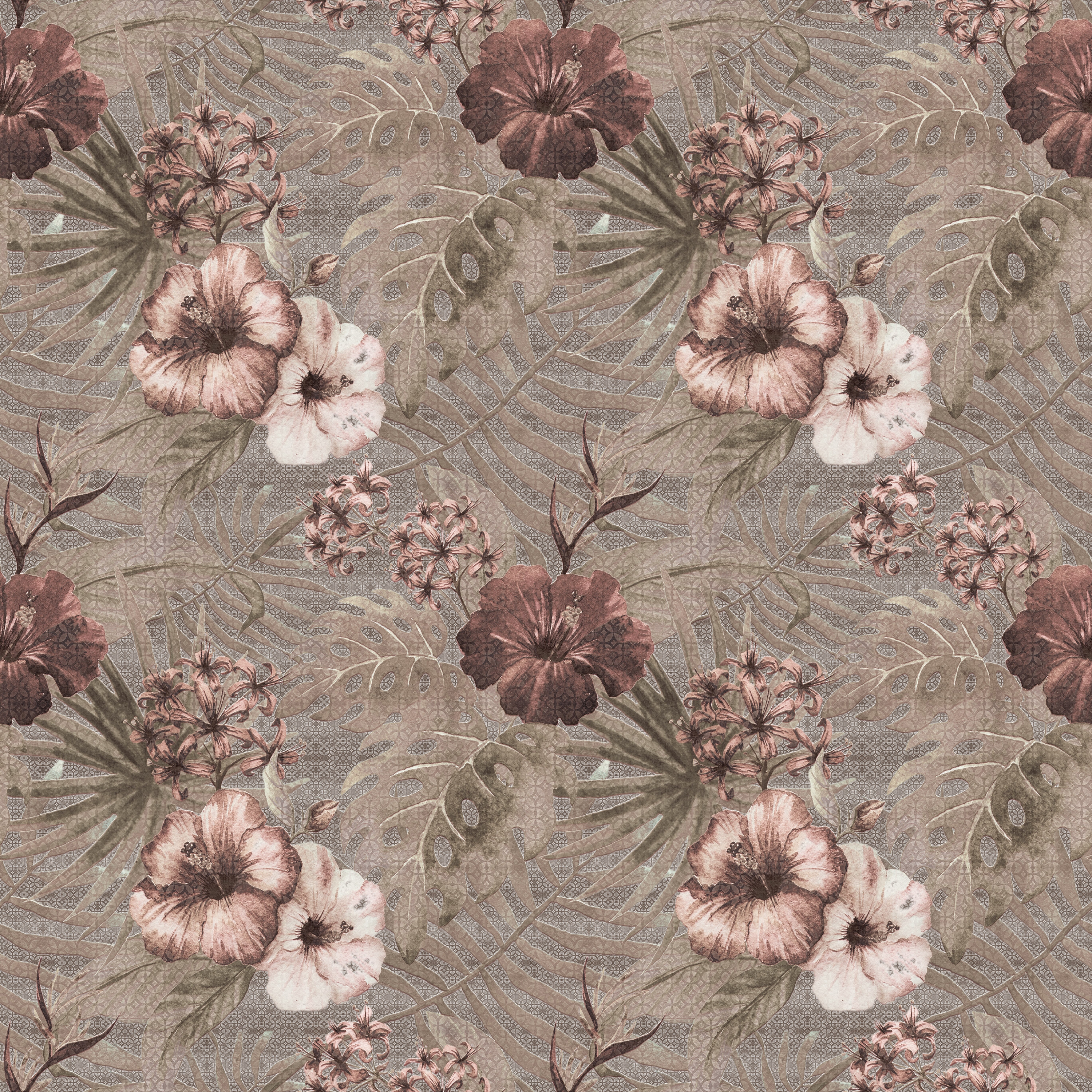 Dianthus