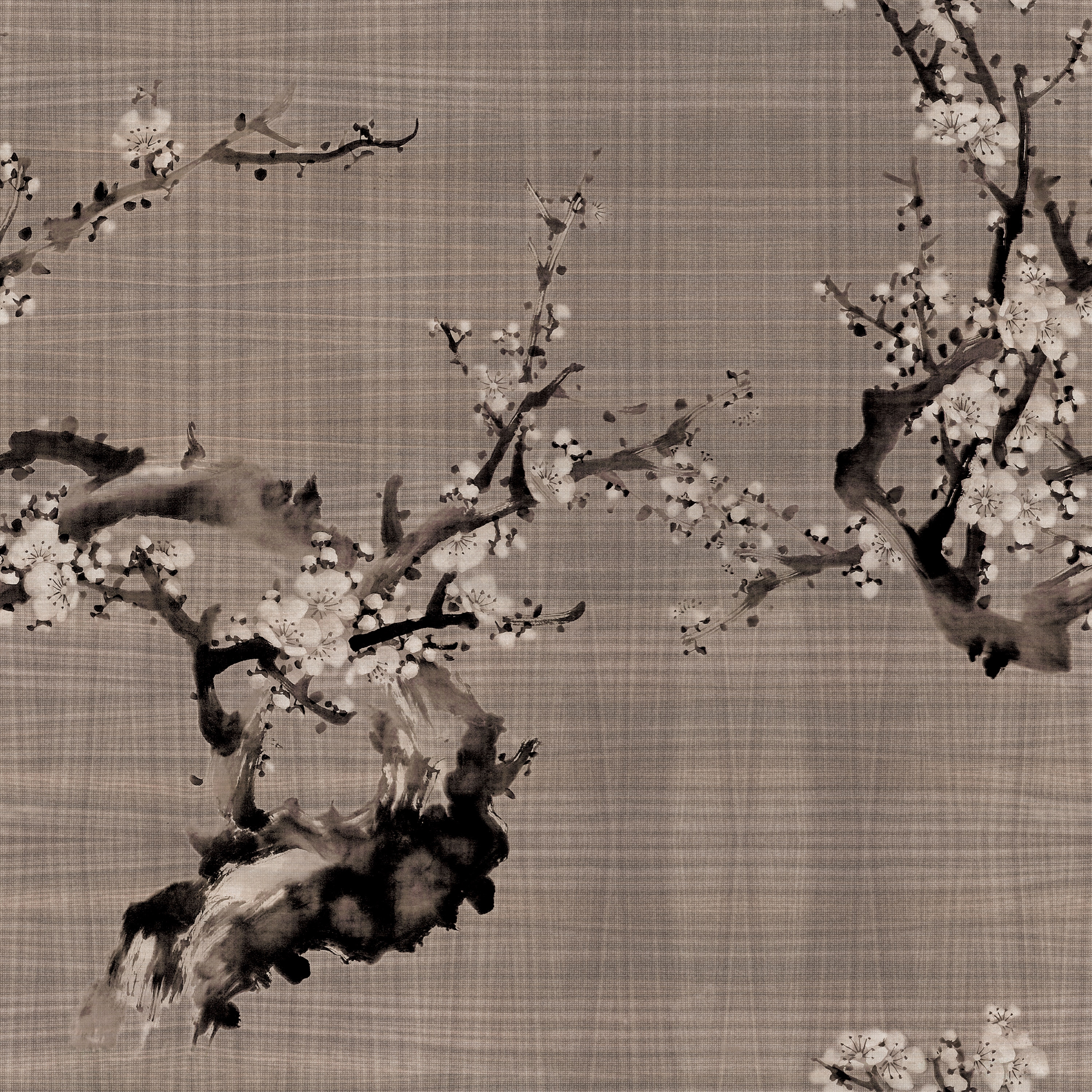 Hanami