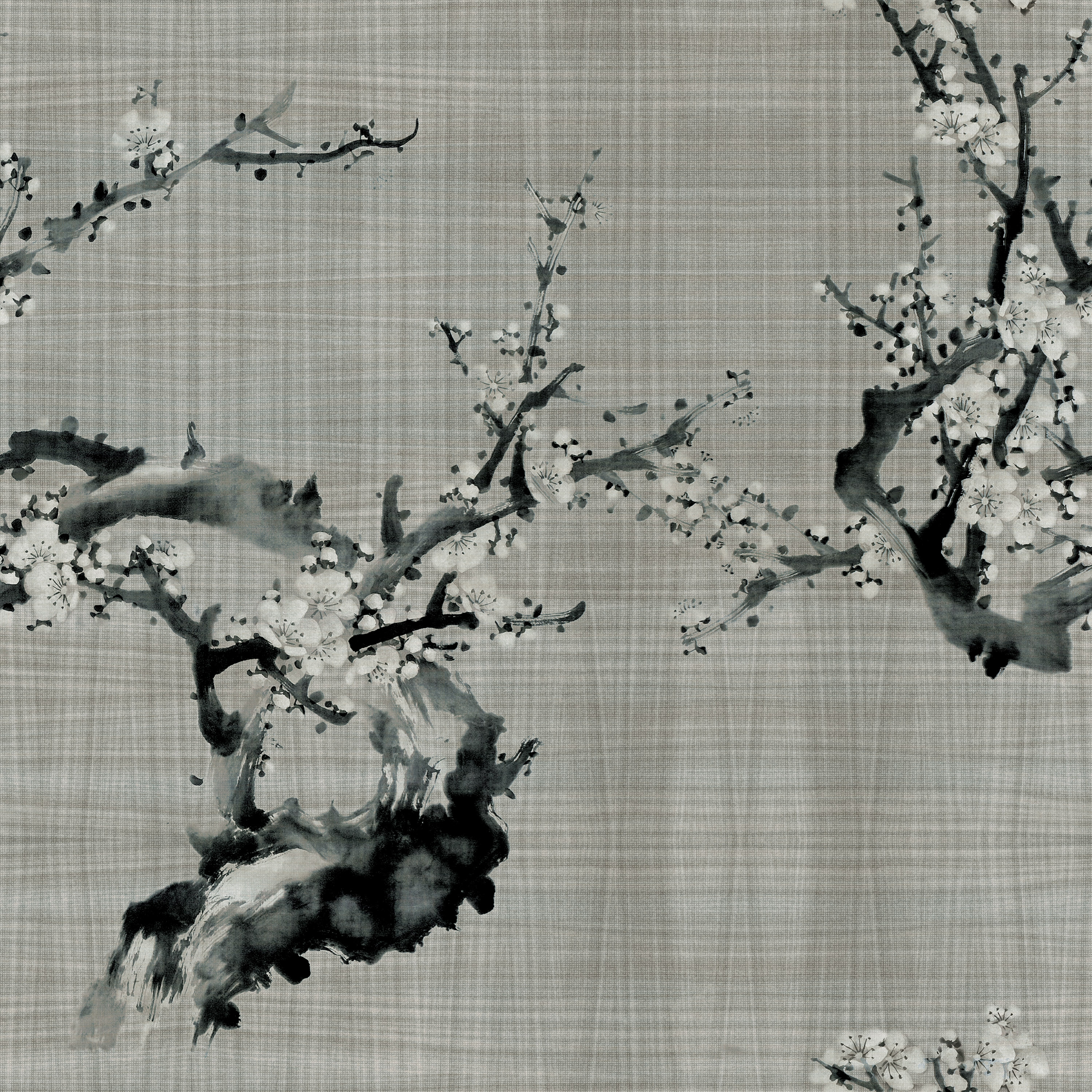 Hanami