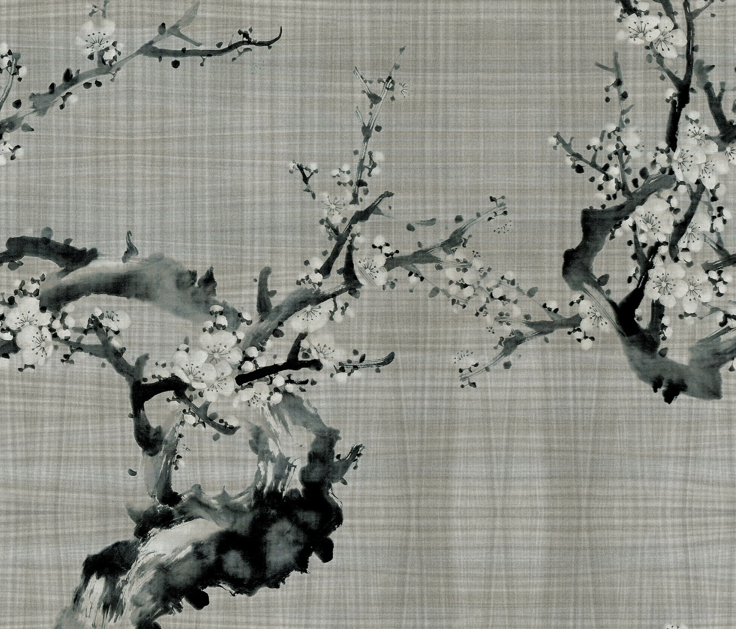 Inkiostro Bianco - Hanami