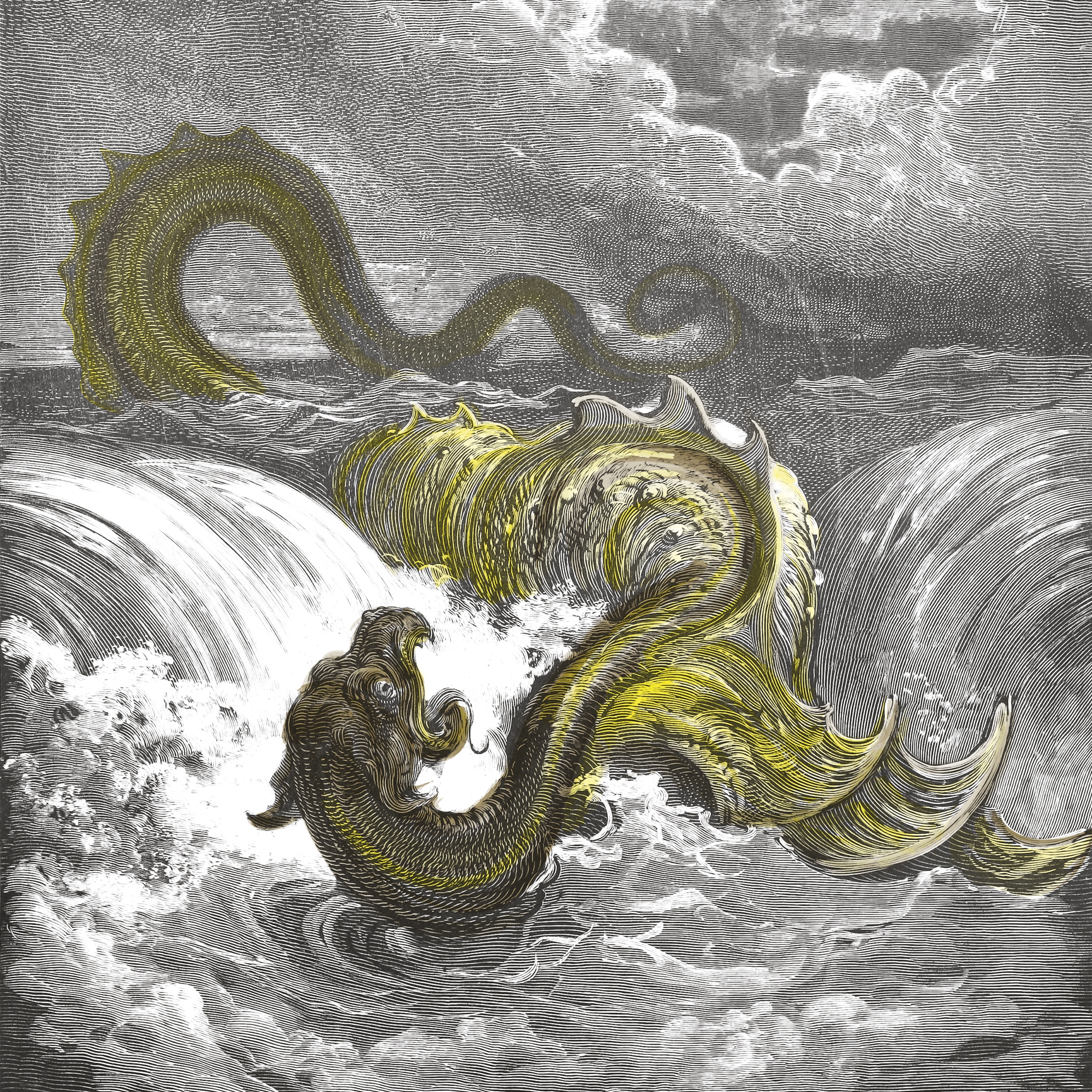 Display product Dragon from manufacturer Inkiostro Bianco