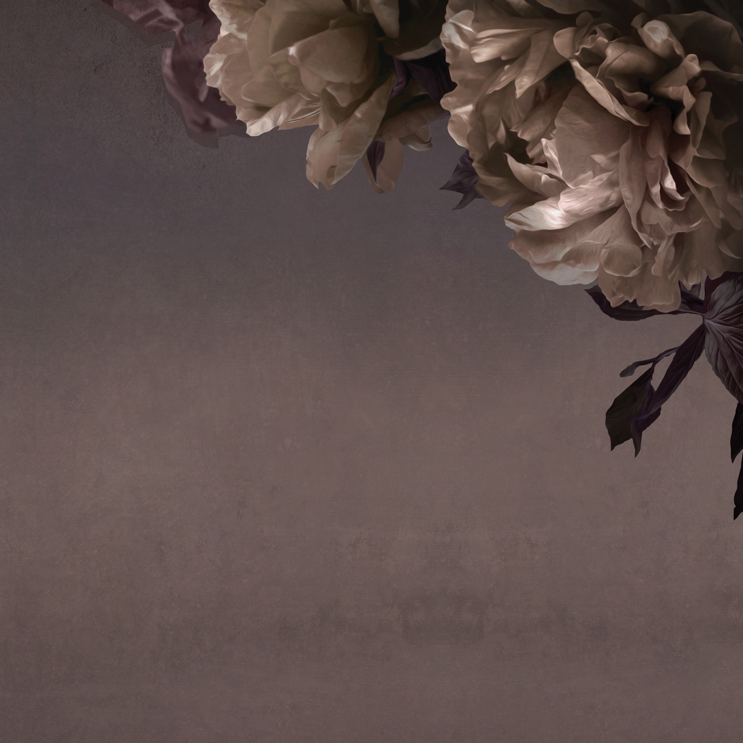 Produkt Peonia des Herstellers Inkiostro Bianco anzeigen