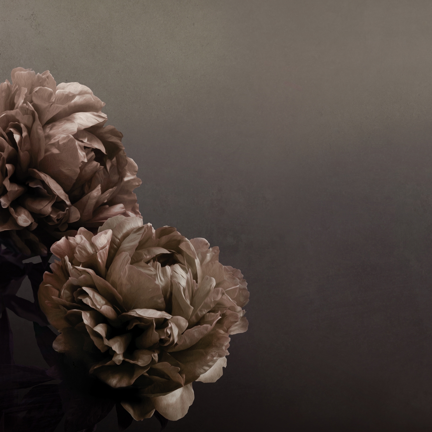 Display product Peonia from manufacturer Inkiostro Bianco