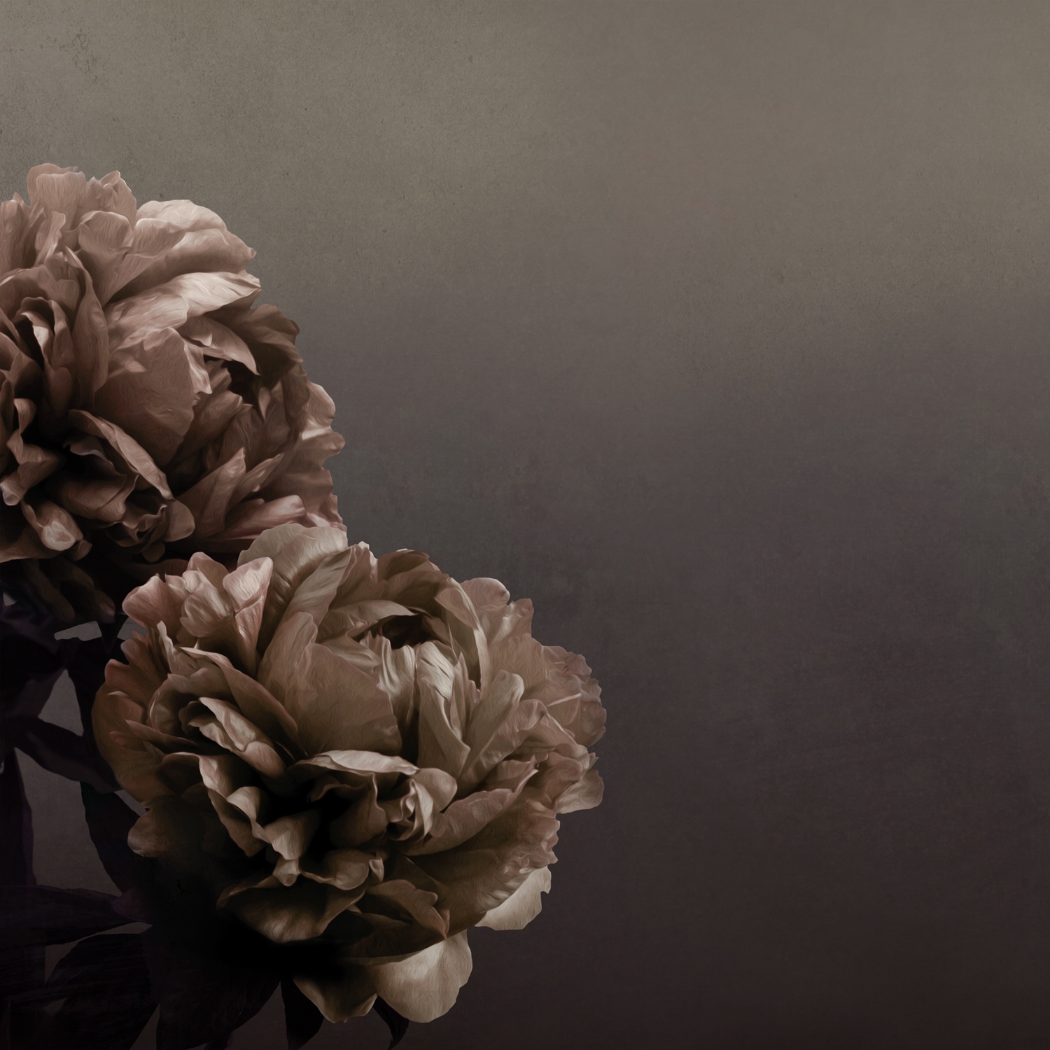 Peonia