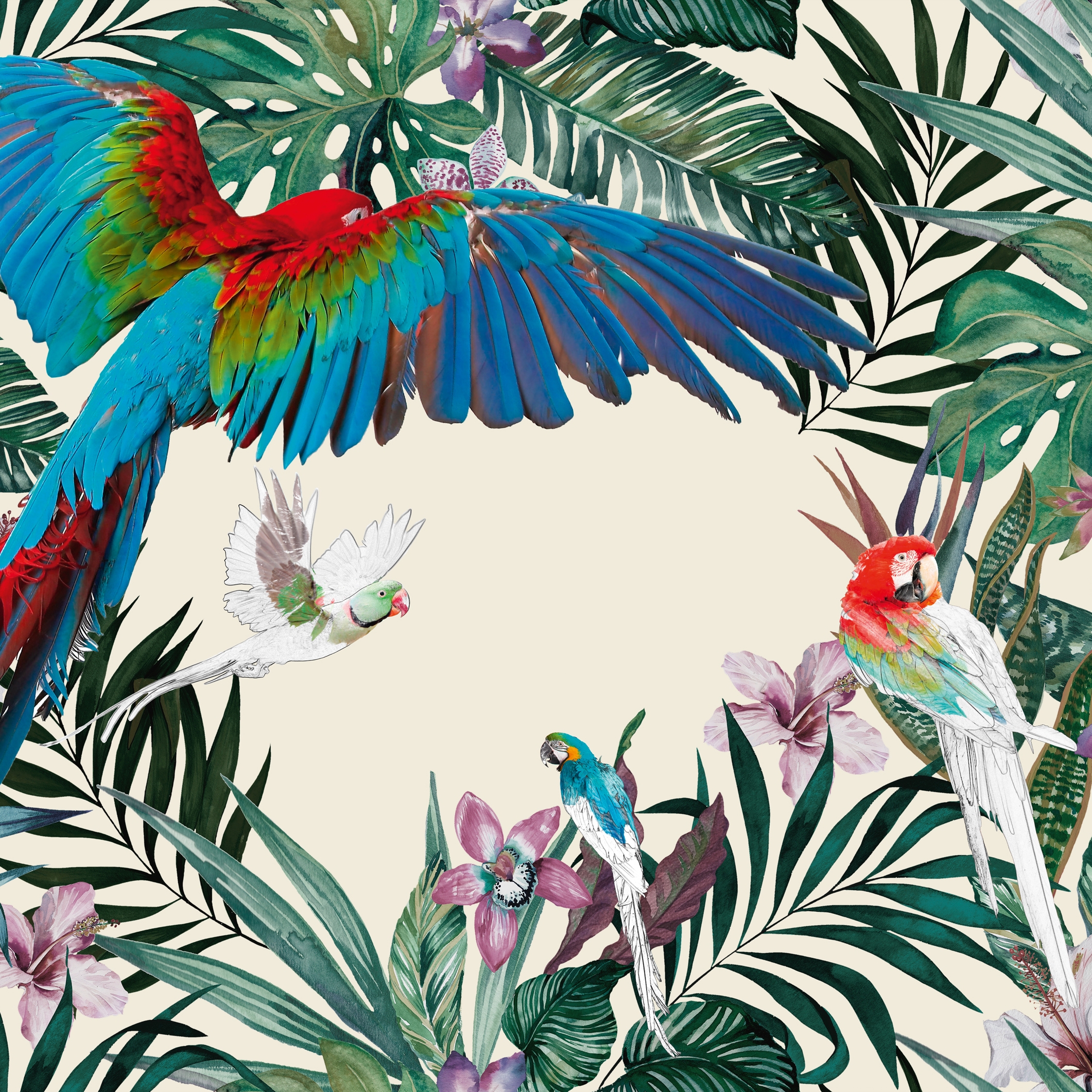 Mostra il prodotto Parrots del produttore Inkiostro Bianco