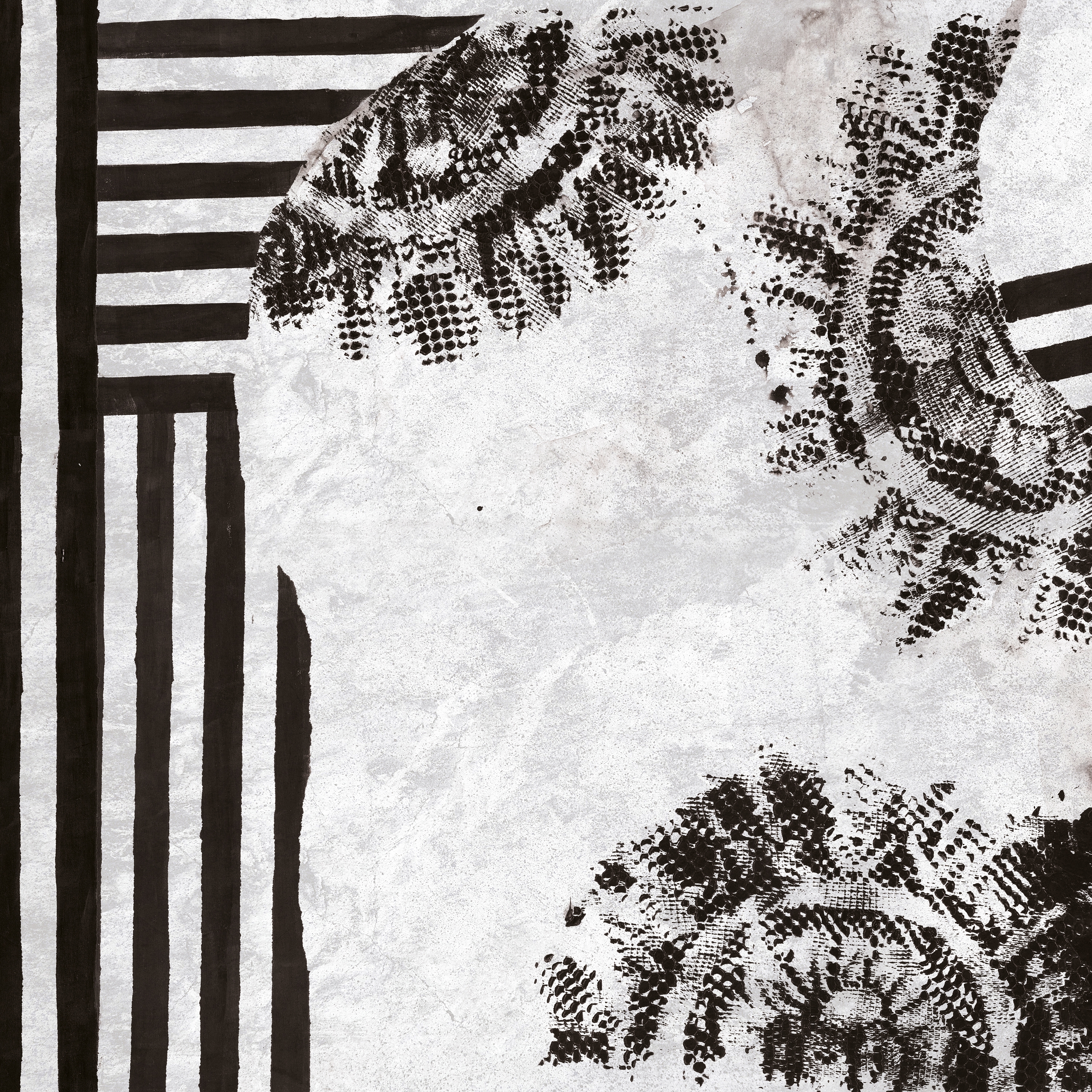 Display product Black Lace from manufacturer Inkiostro Bianco