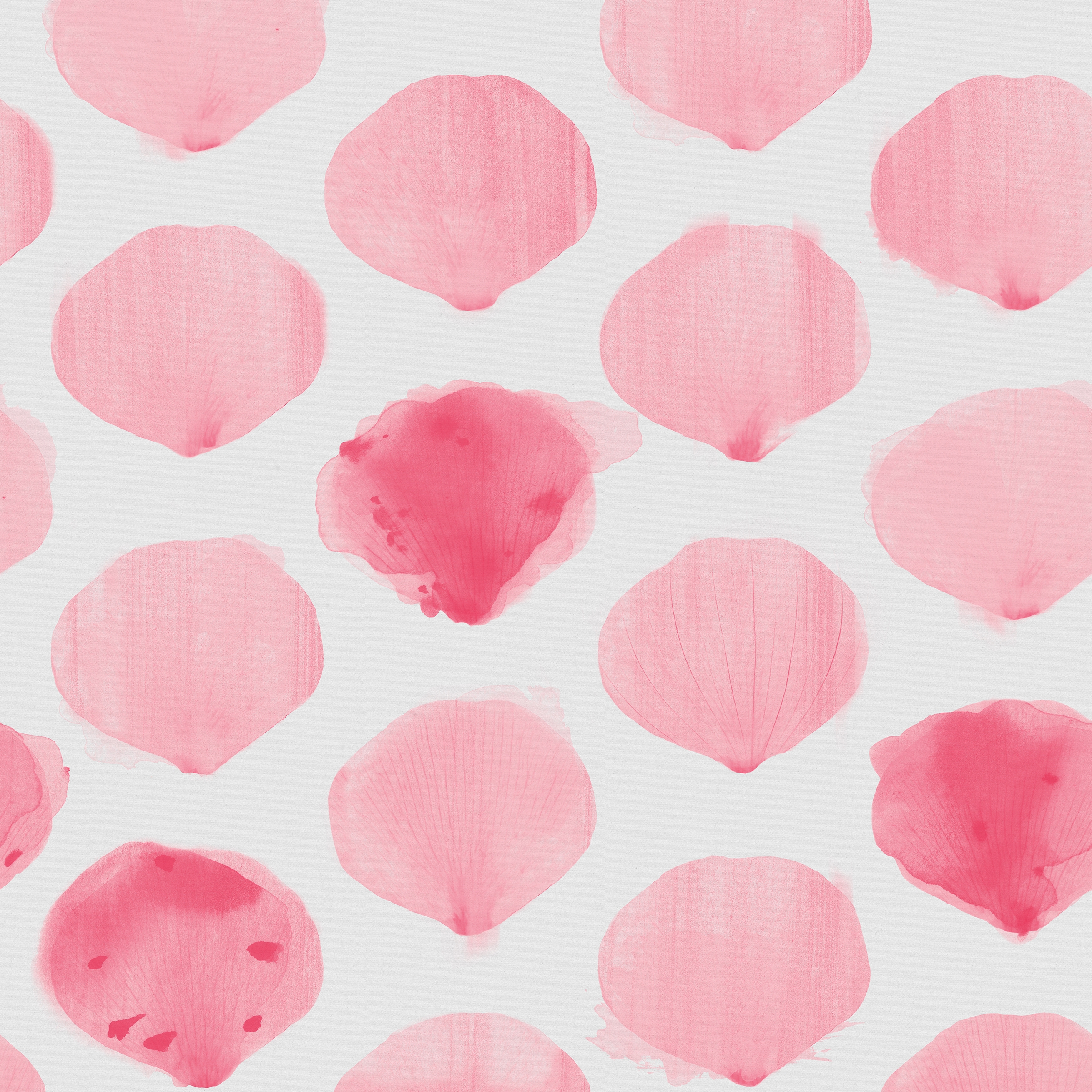 Mostra il prodotto Pink Powder del produttore Inkiostro Bianco