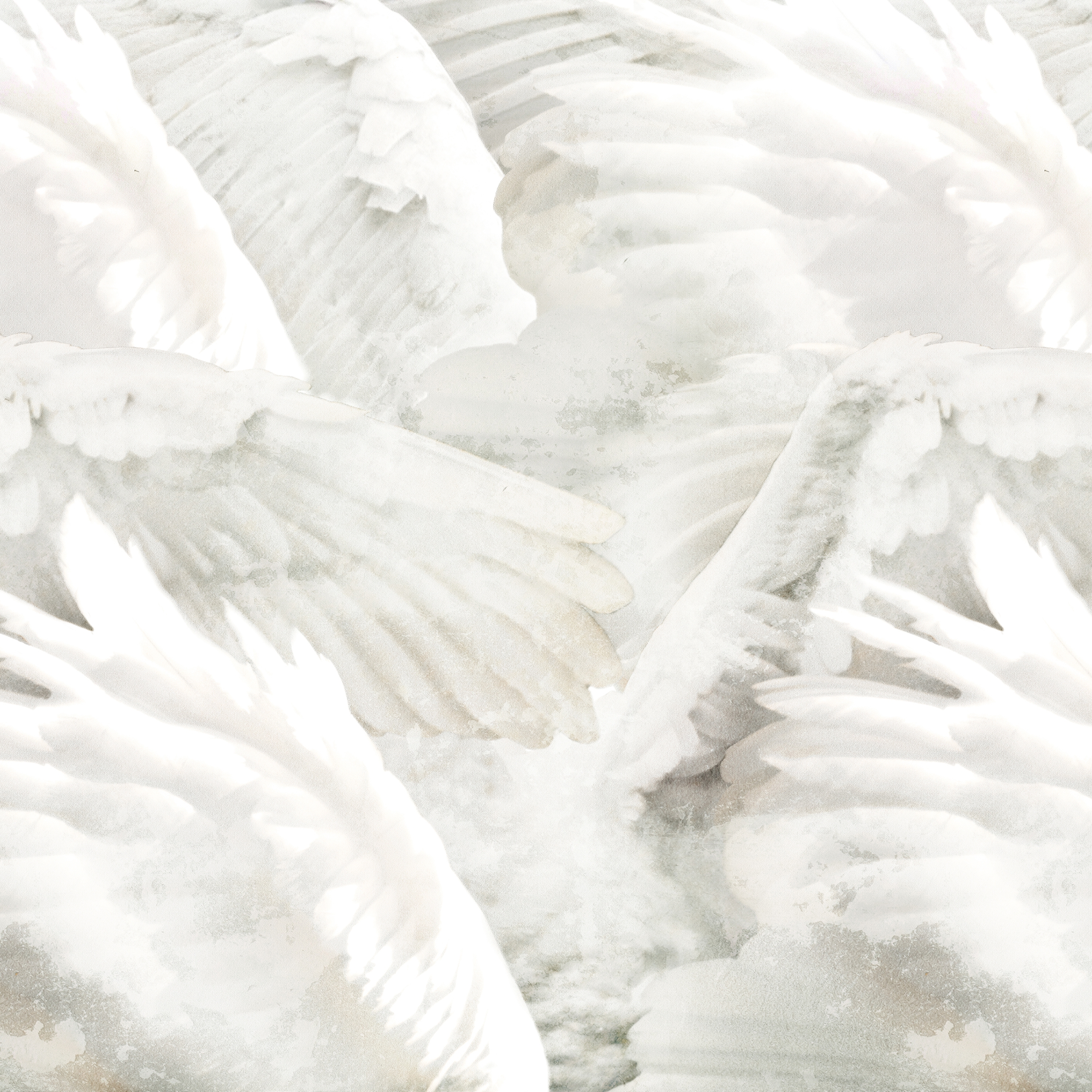 Wings