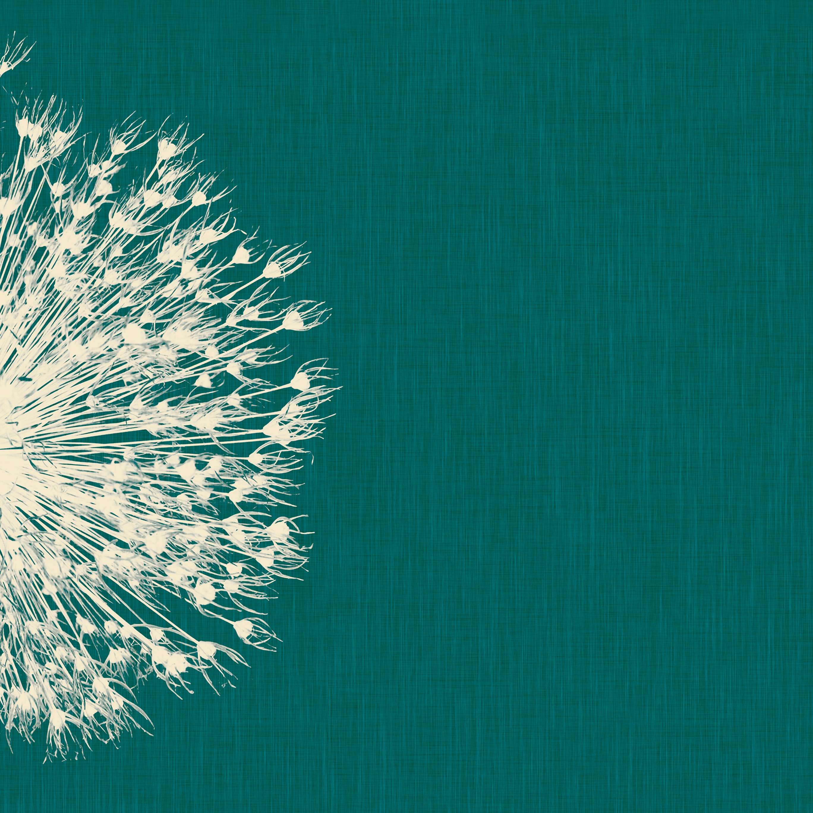 Breath