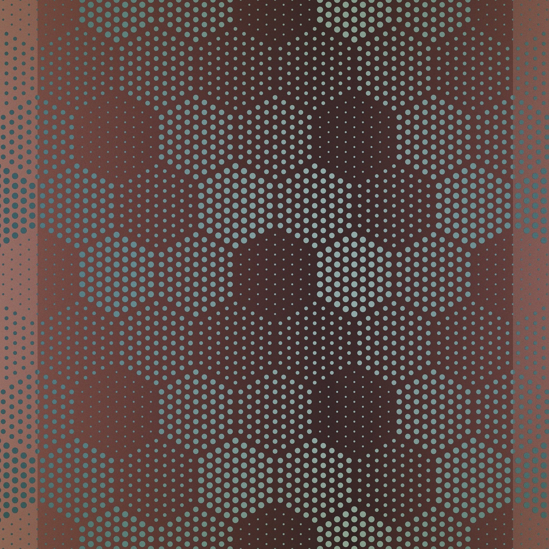 Fly Perception