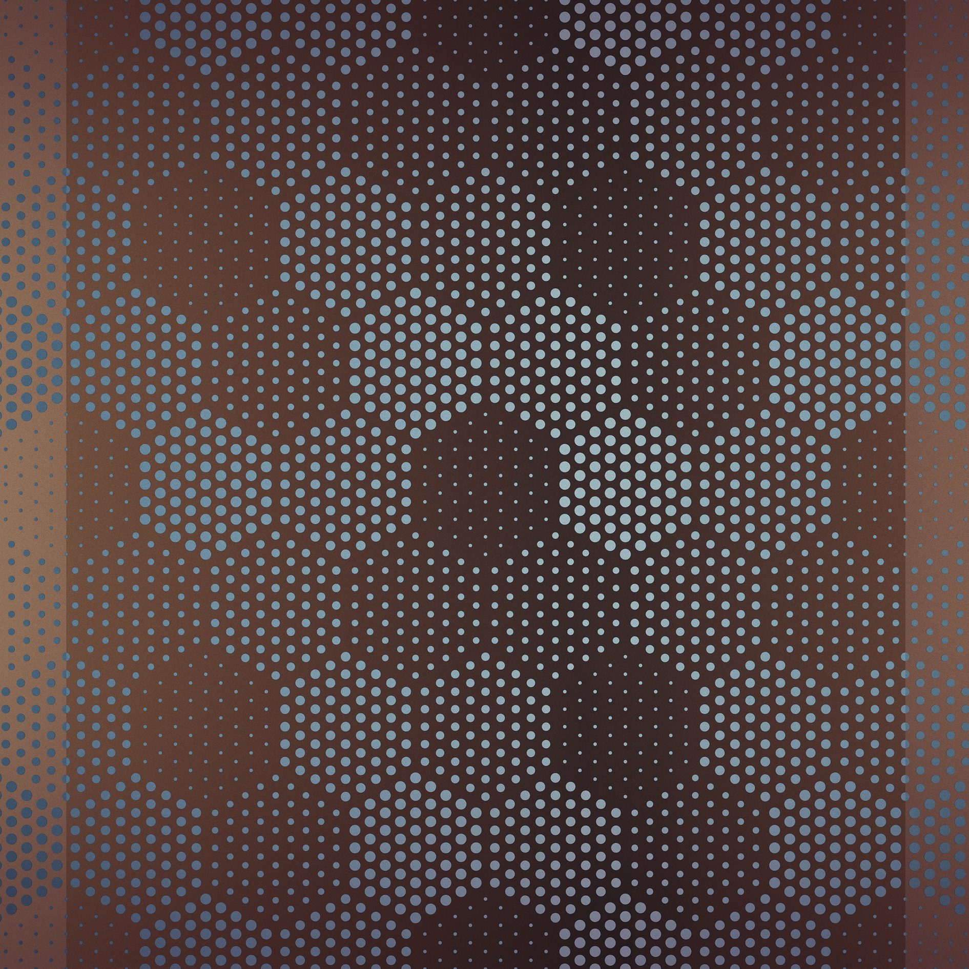 Fly Perception