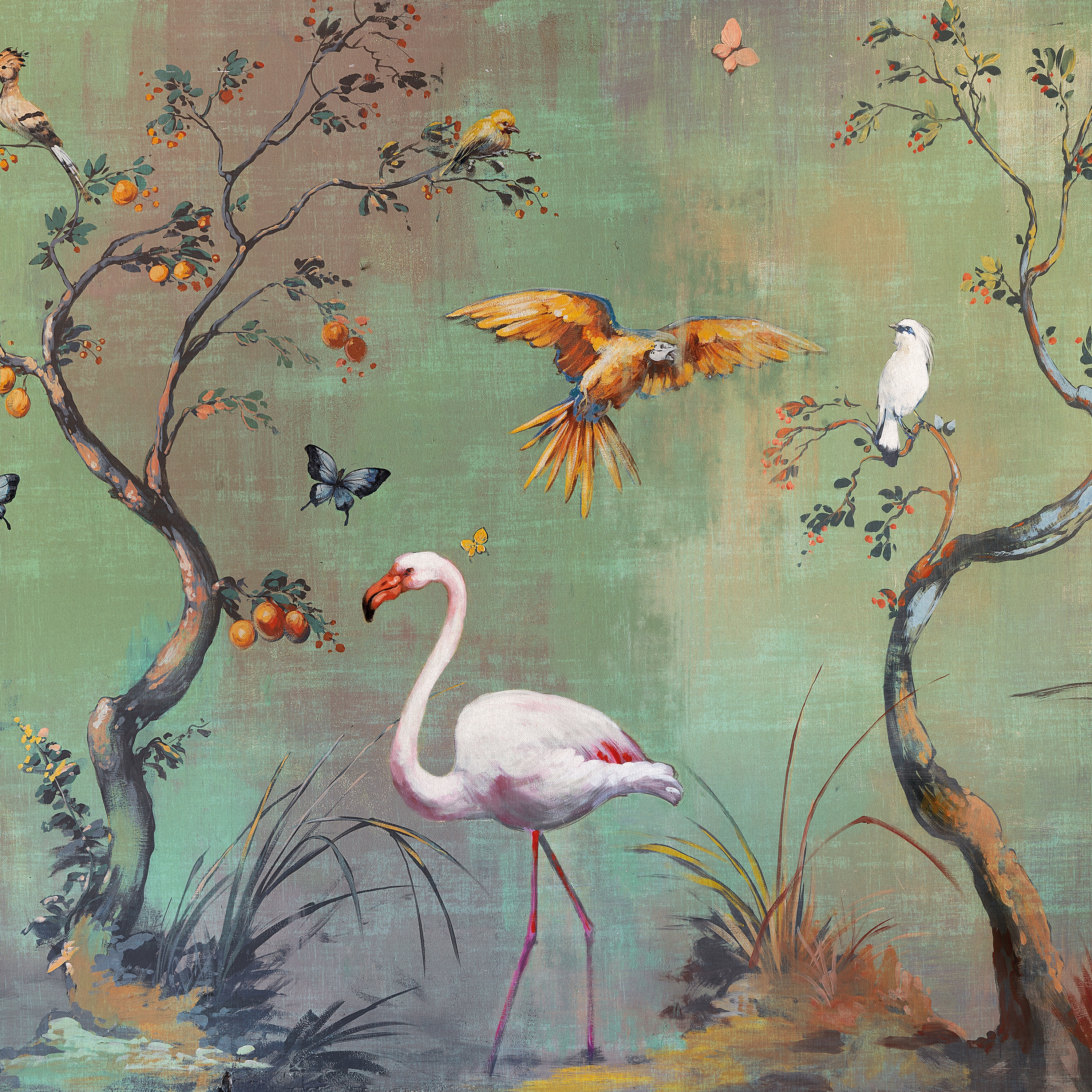 Ibis
