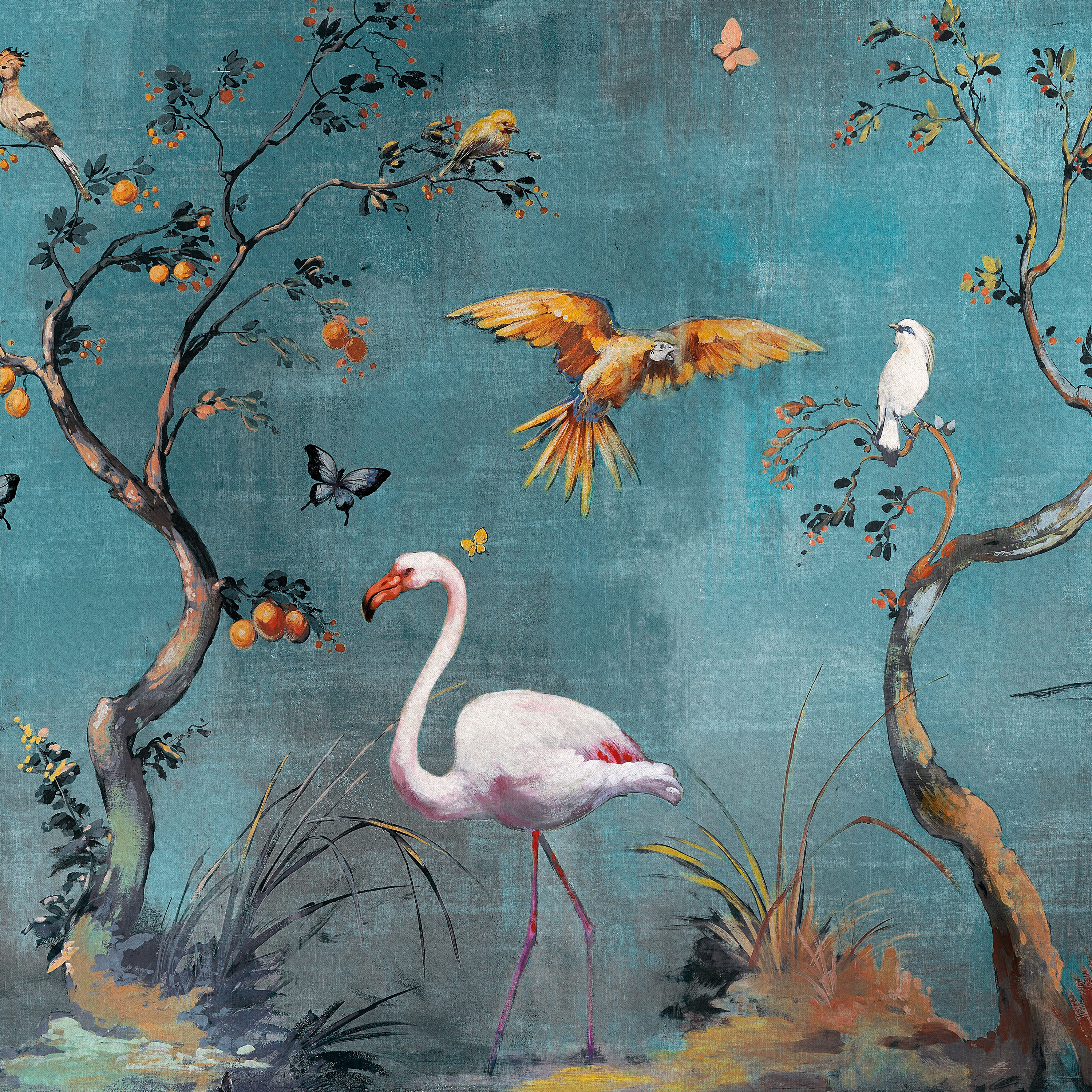 Ibis