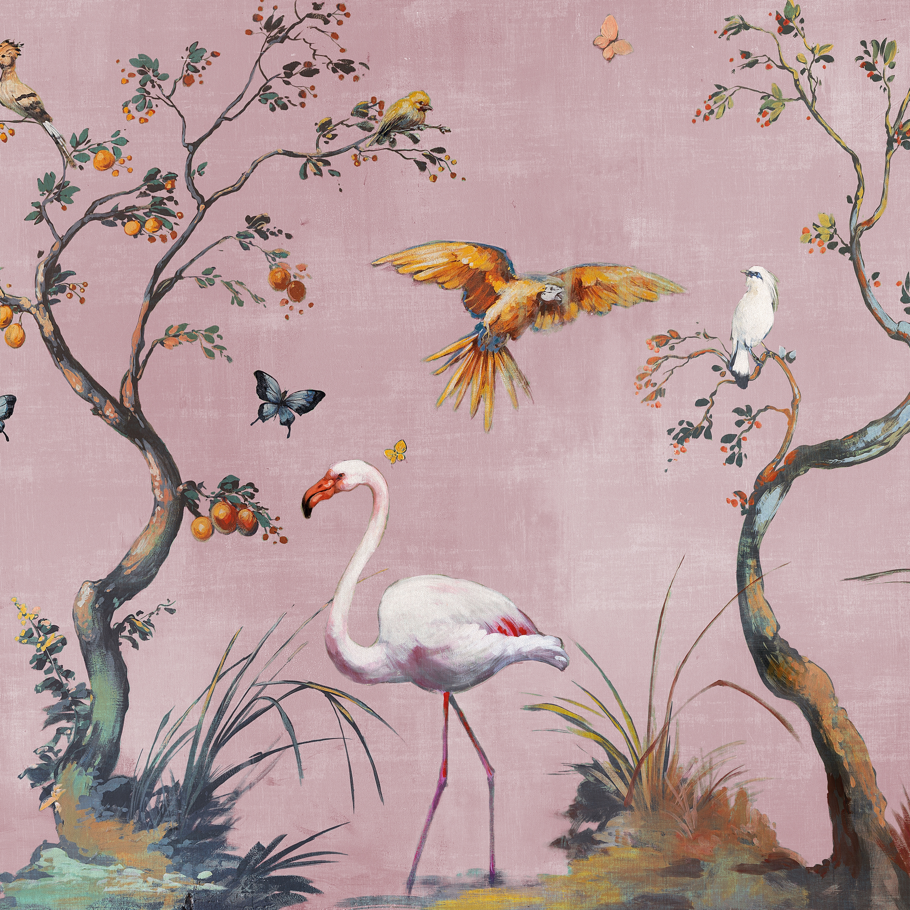 Ibis