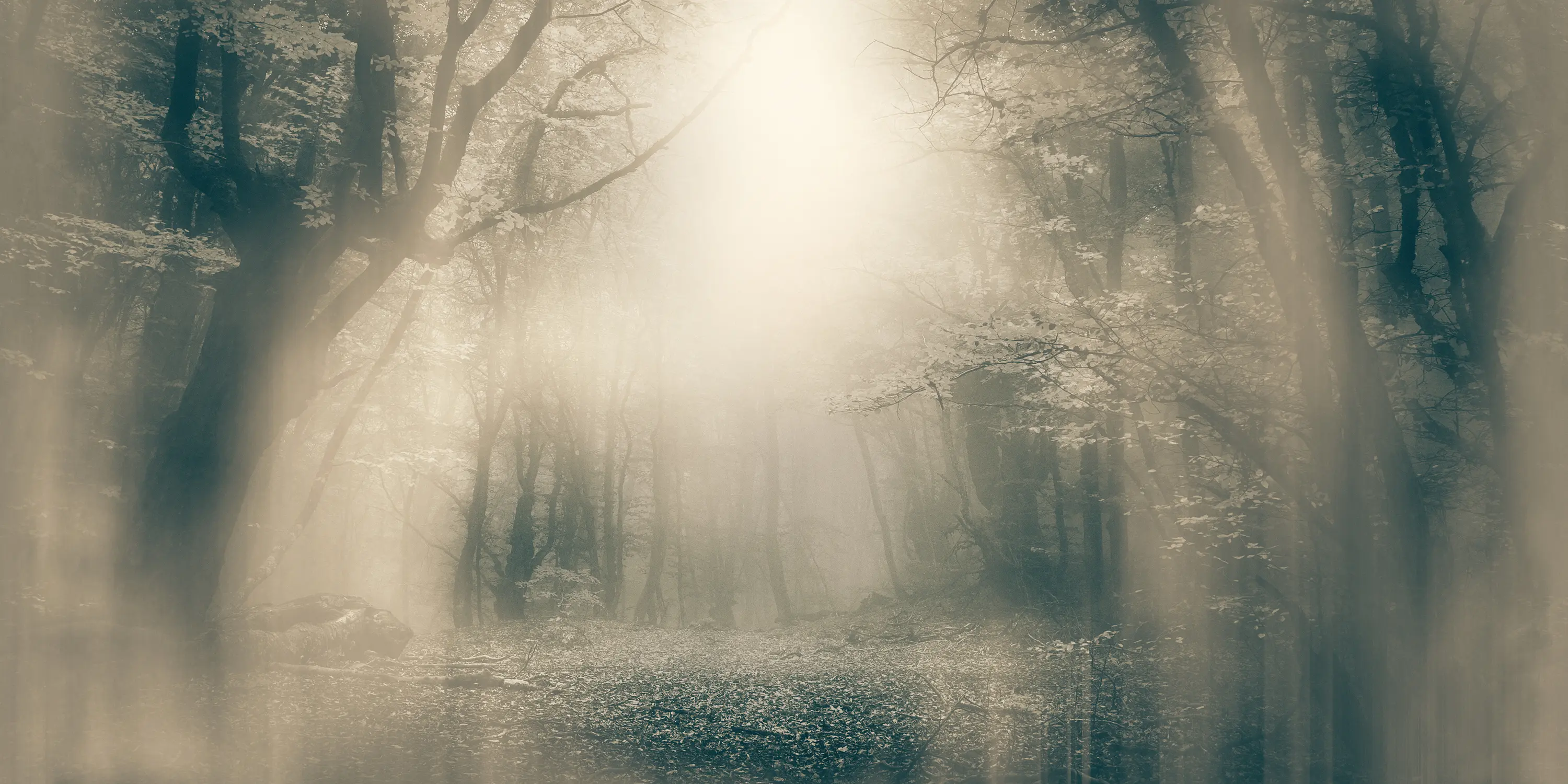 Inkiostro Bianco - Moonlight