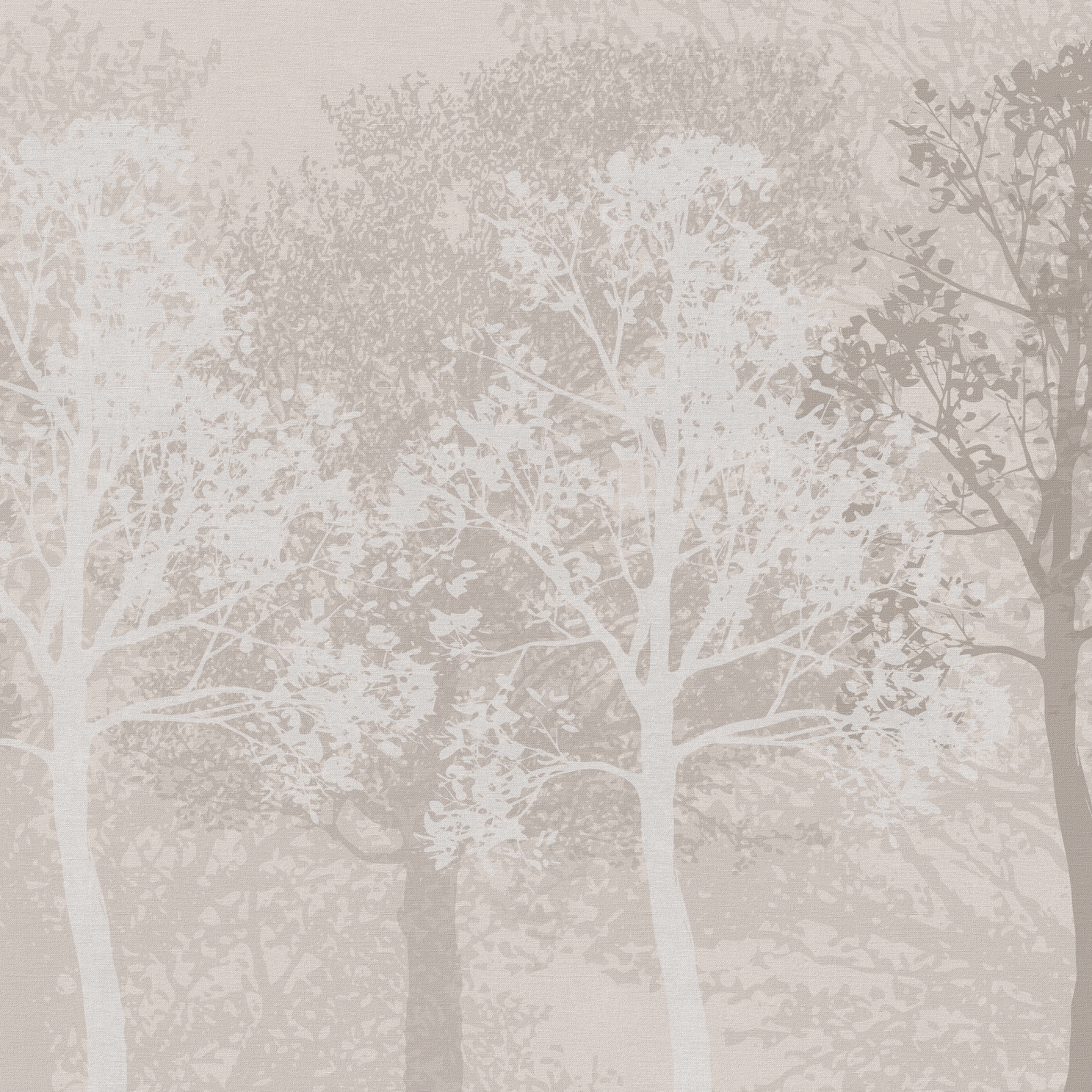 Birch