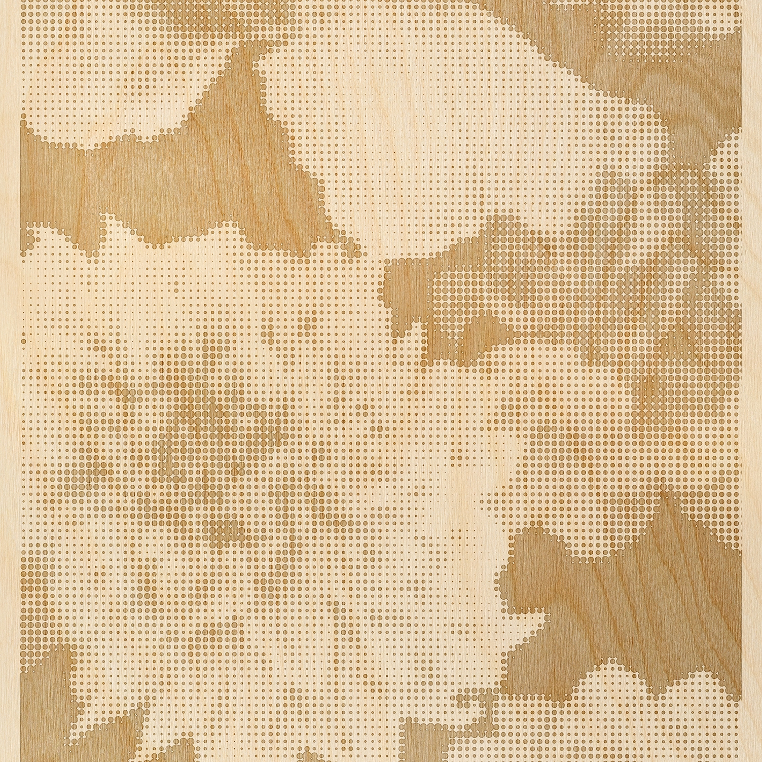 Mostrar el producto Mayflowers del fabricante Inkiostro Bianco