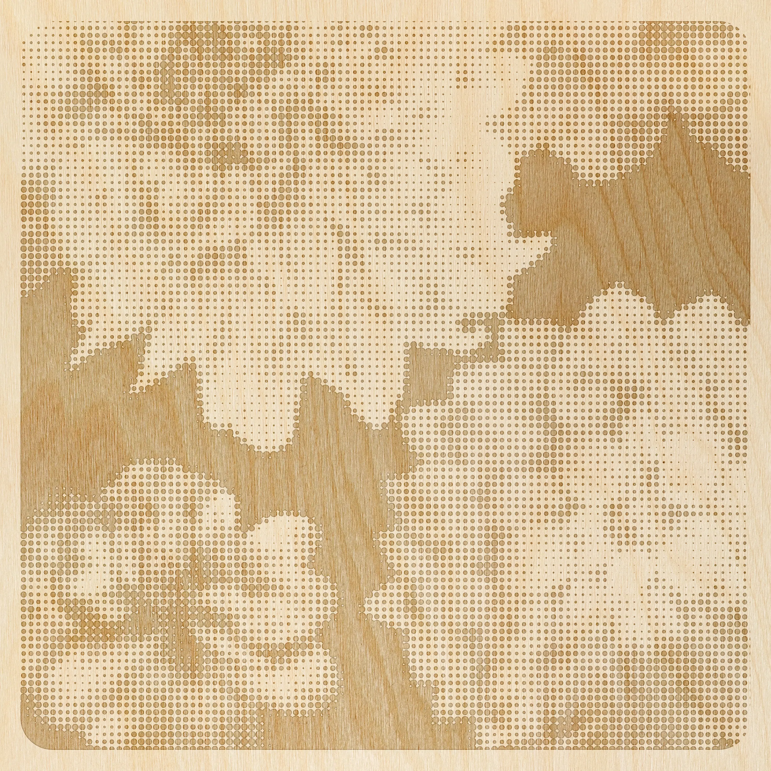 Inkiostro Bianco - Mayflowers