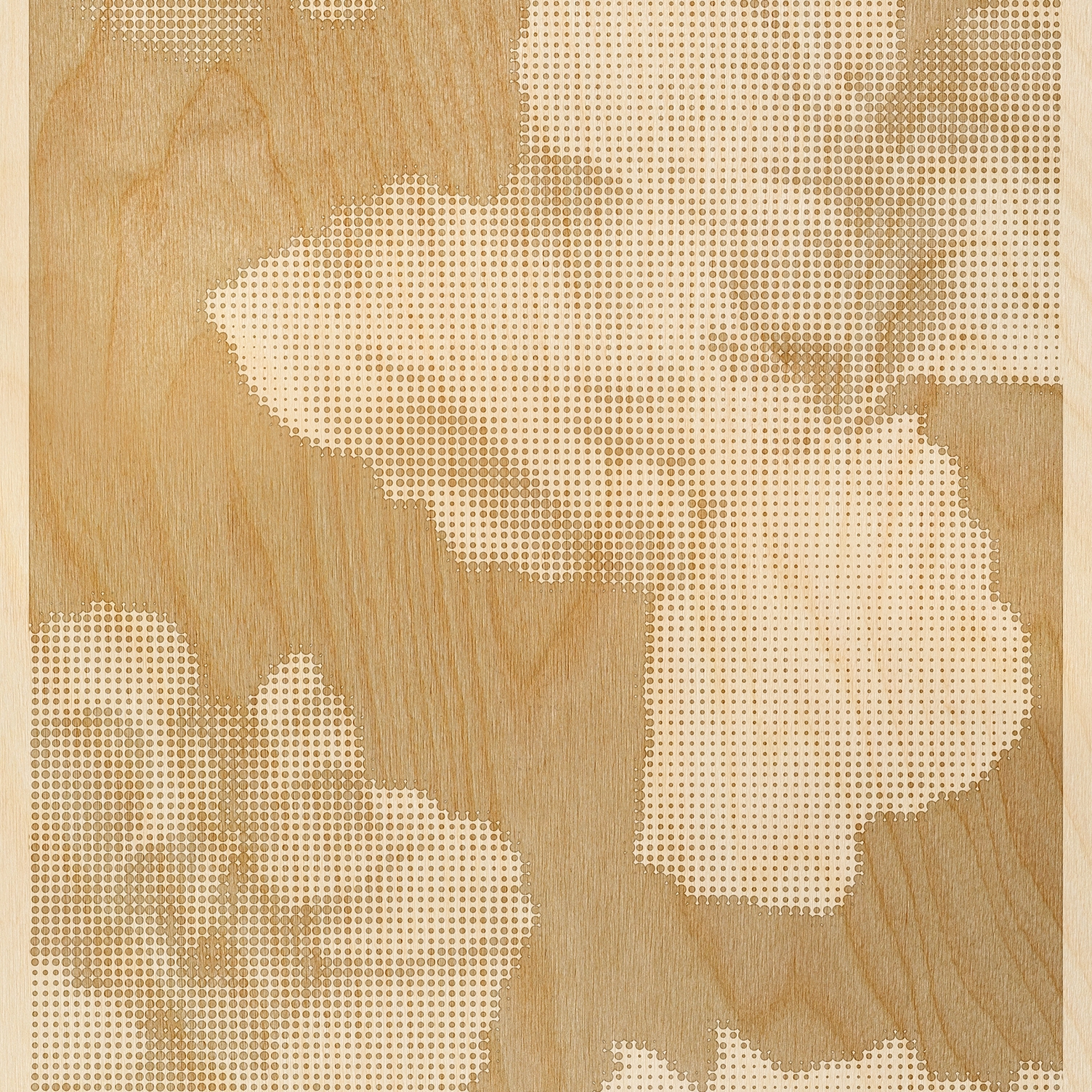 Mayflowers