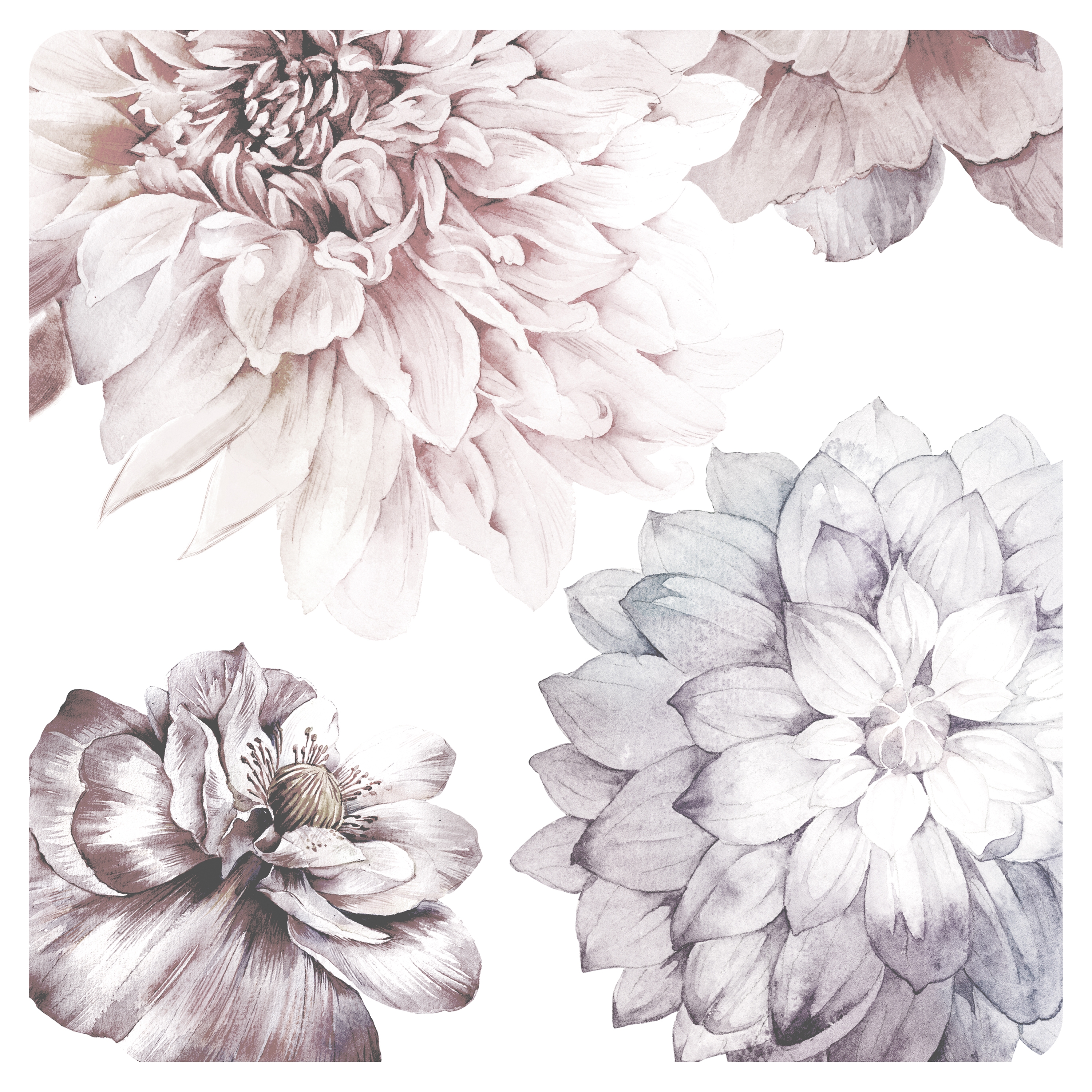 Display product Mayflowers from manufacturer Inkiostro Bianco