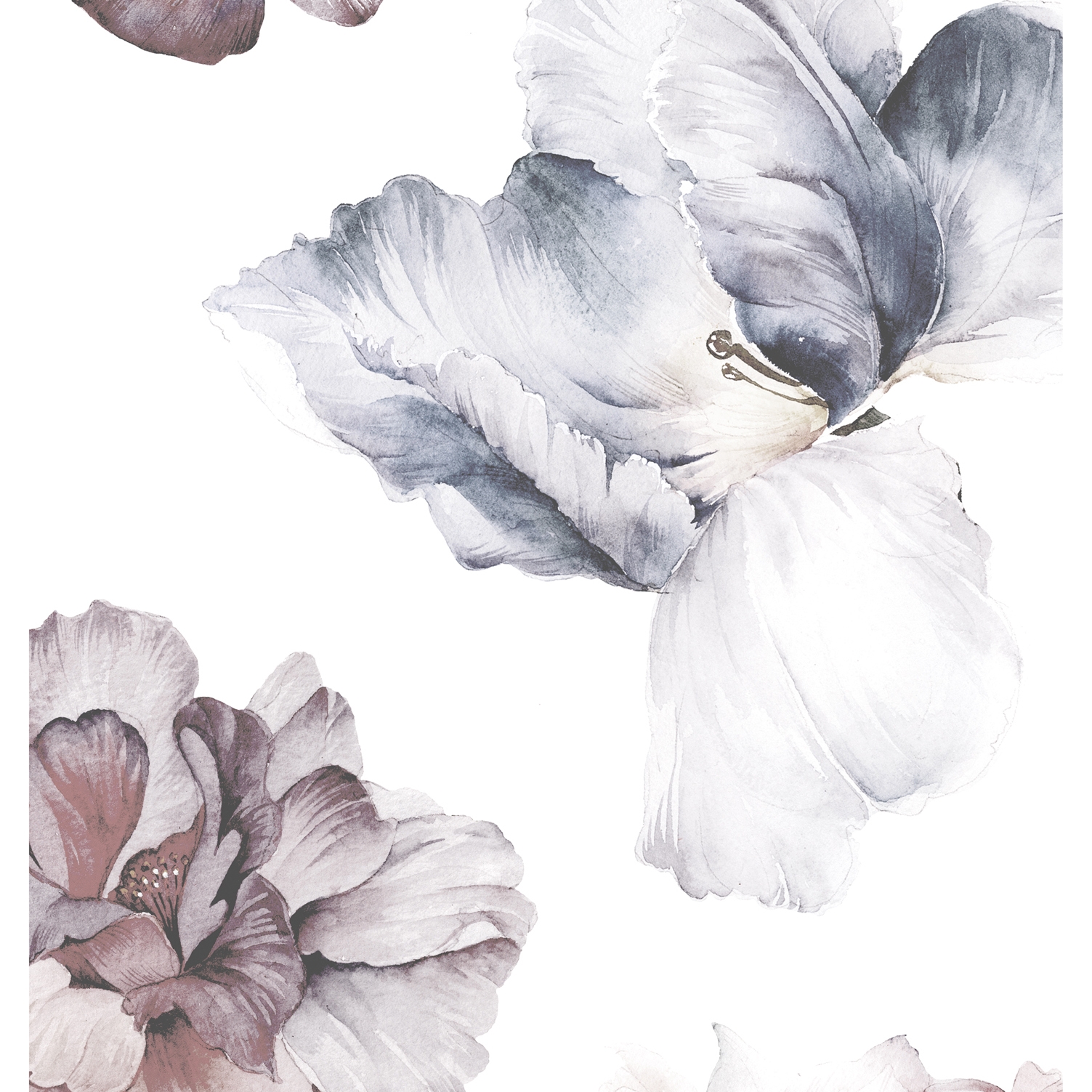 Mayflowers