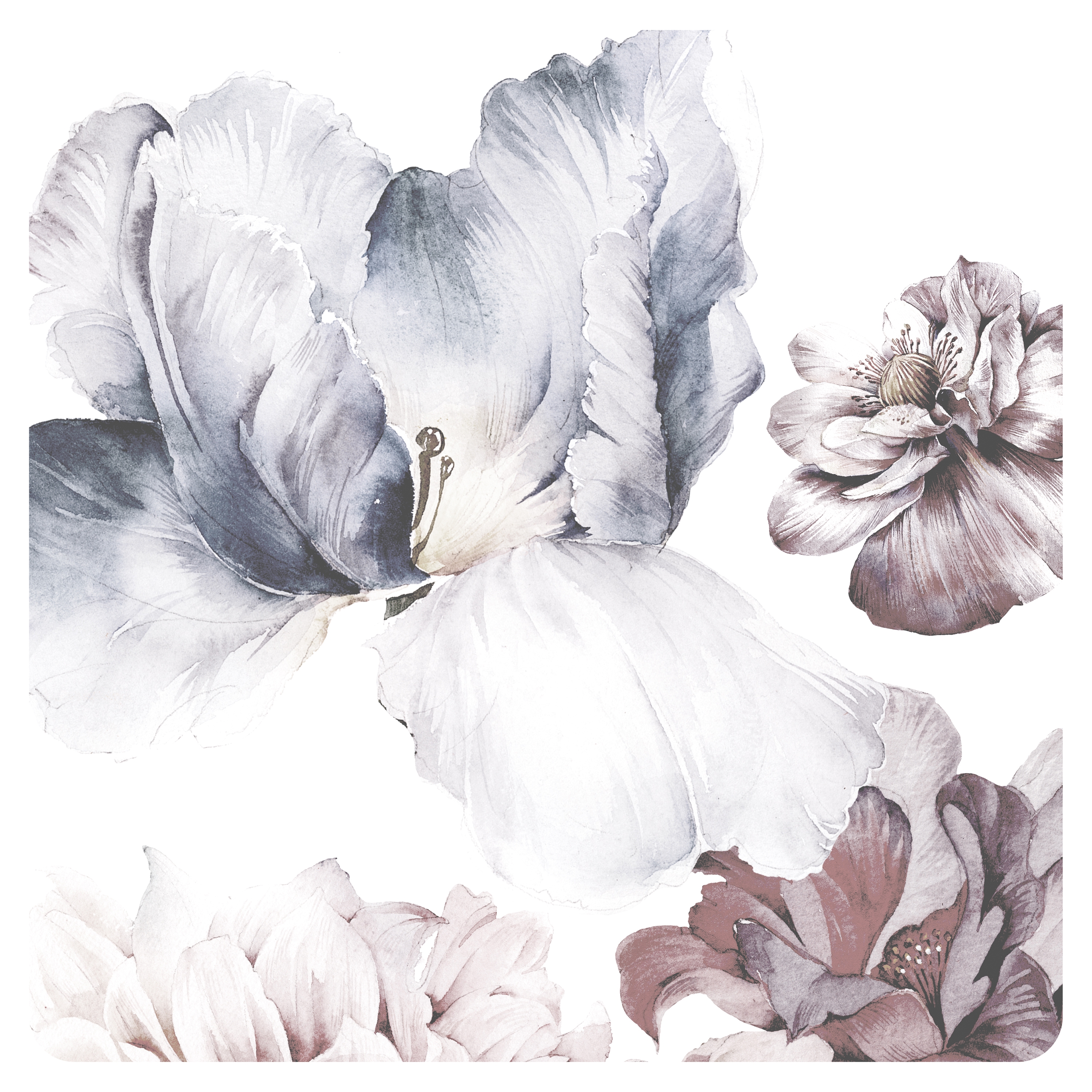 Mayflowers