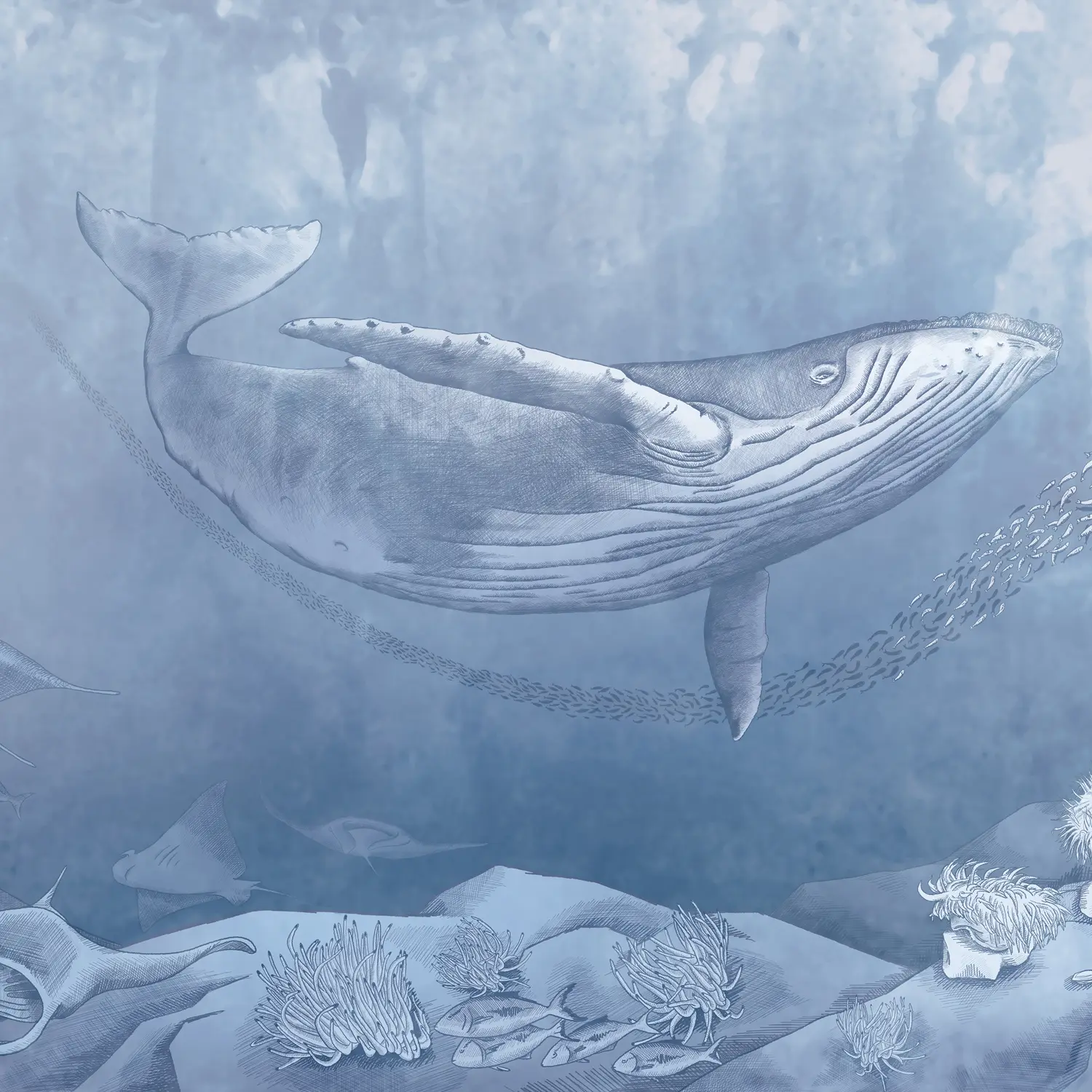 Inkiostro Bianco - Pelagos