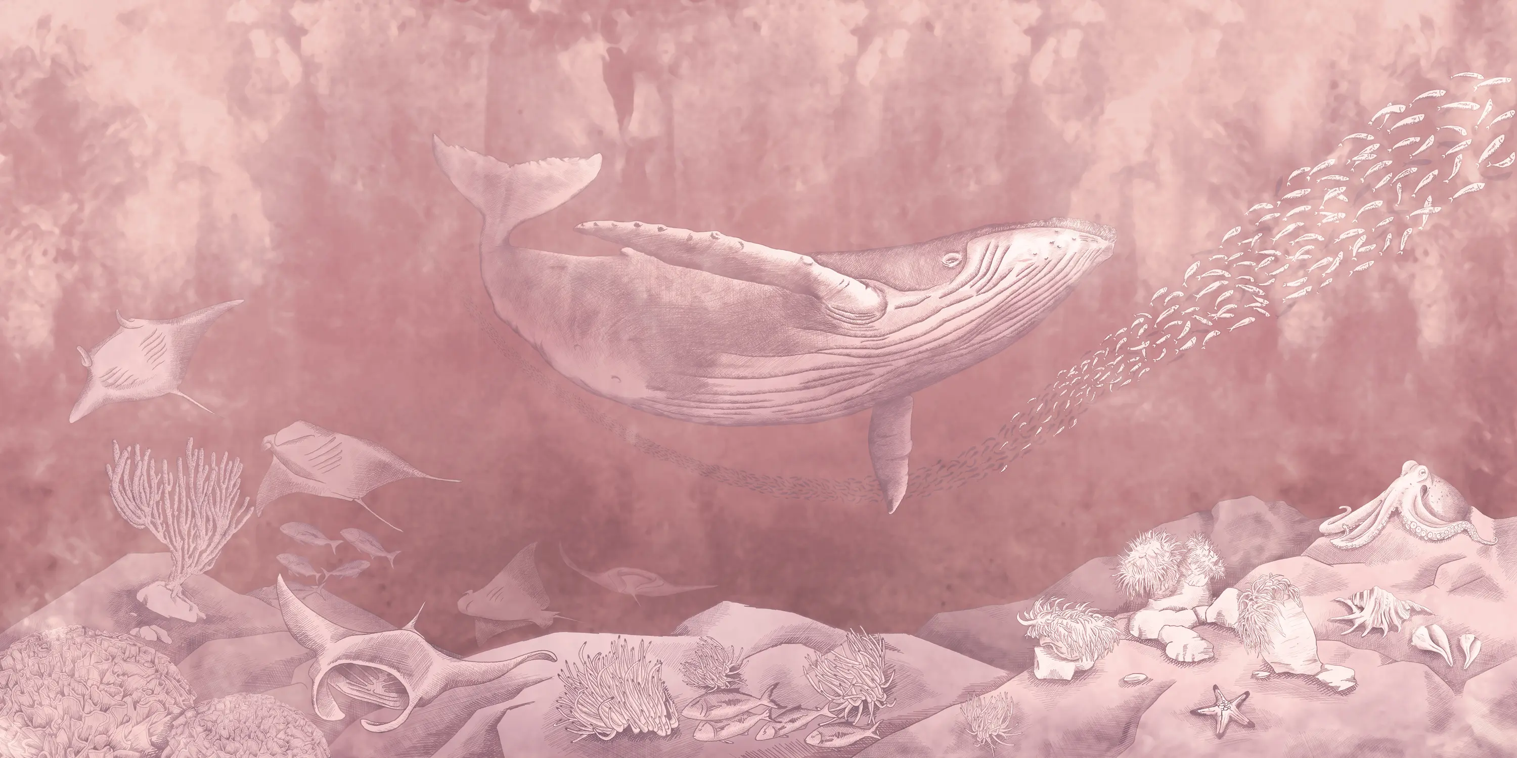 Inkiostro Bianco - Pelagos