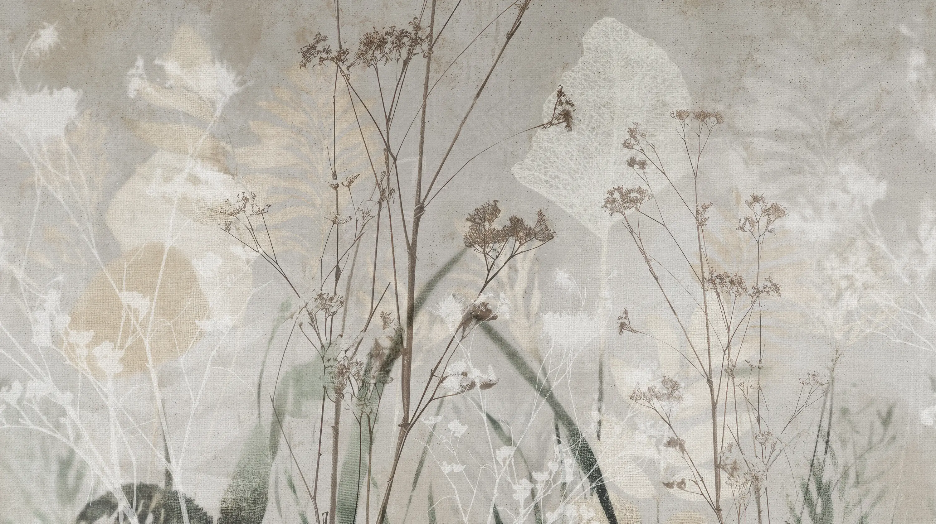 Inkiostro Bianco - Lieve