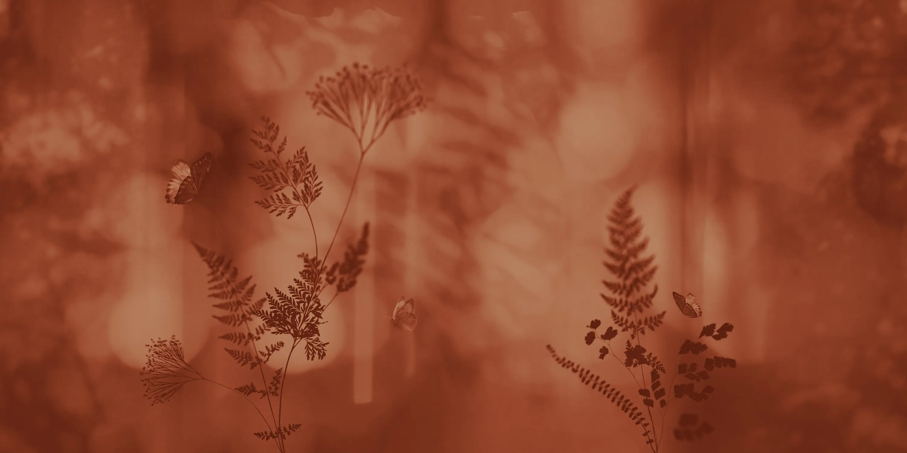 Inkiostro Bianco - Outside the window