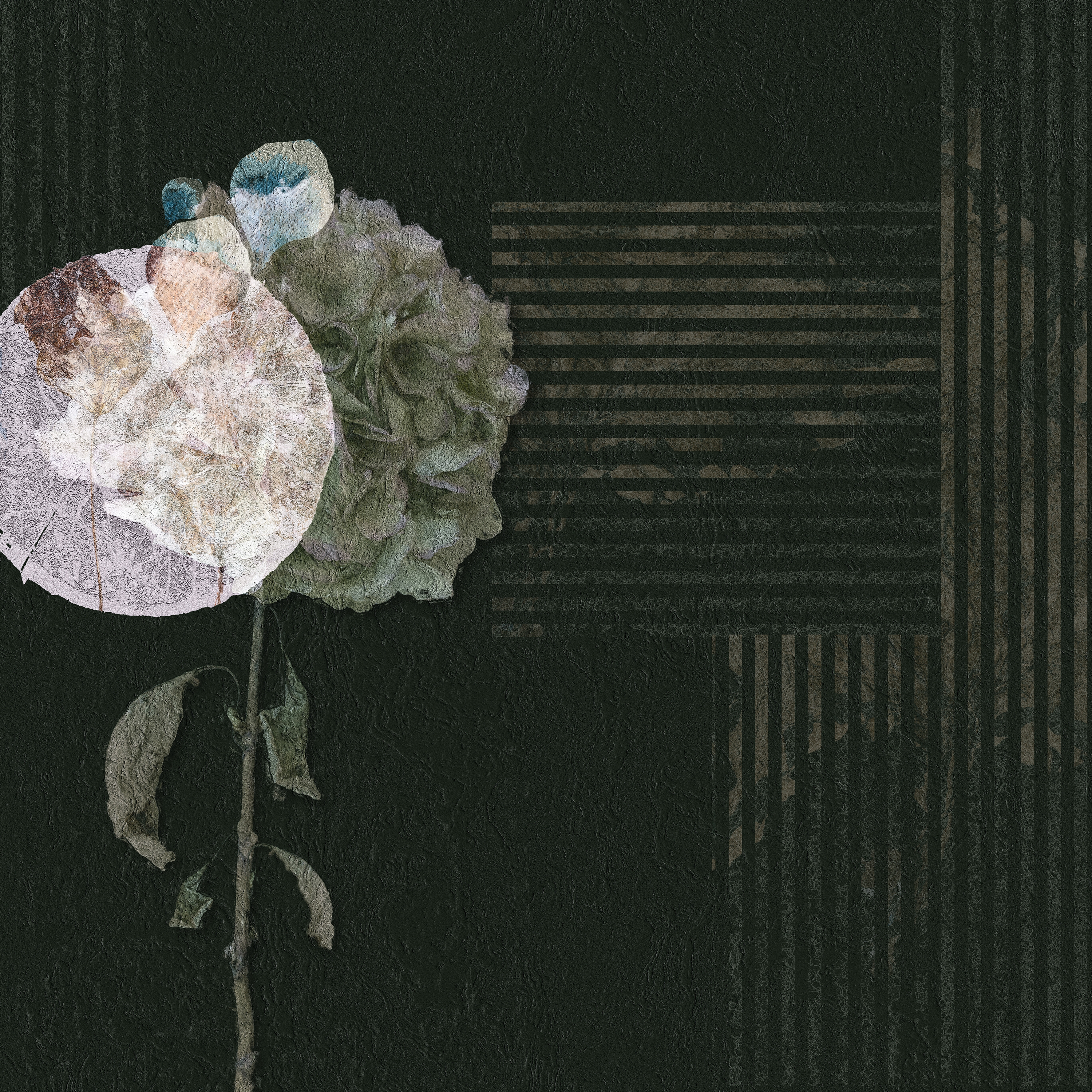 Mirabilis