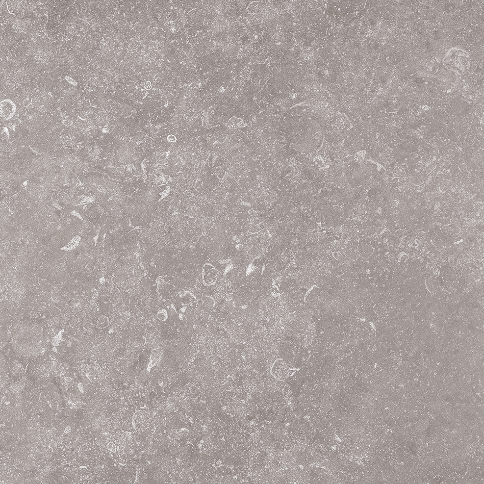 Afficher le produit Stonevolution Grijs du fabricant TERRATINTA GROUP